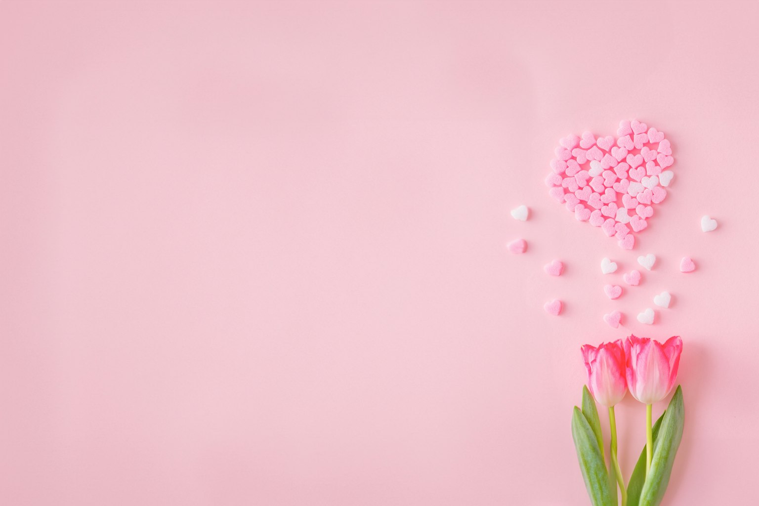 粉紅色背景上有心形糖果和鬱金香花