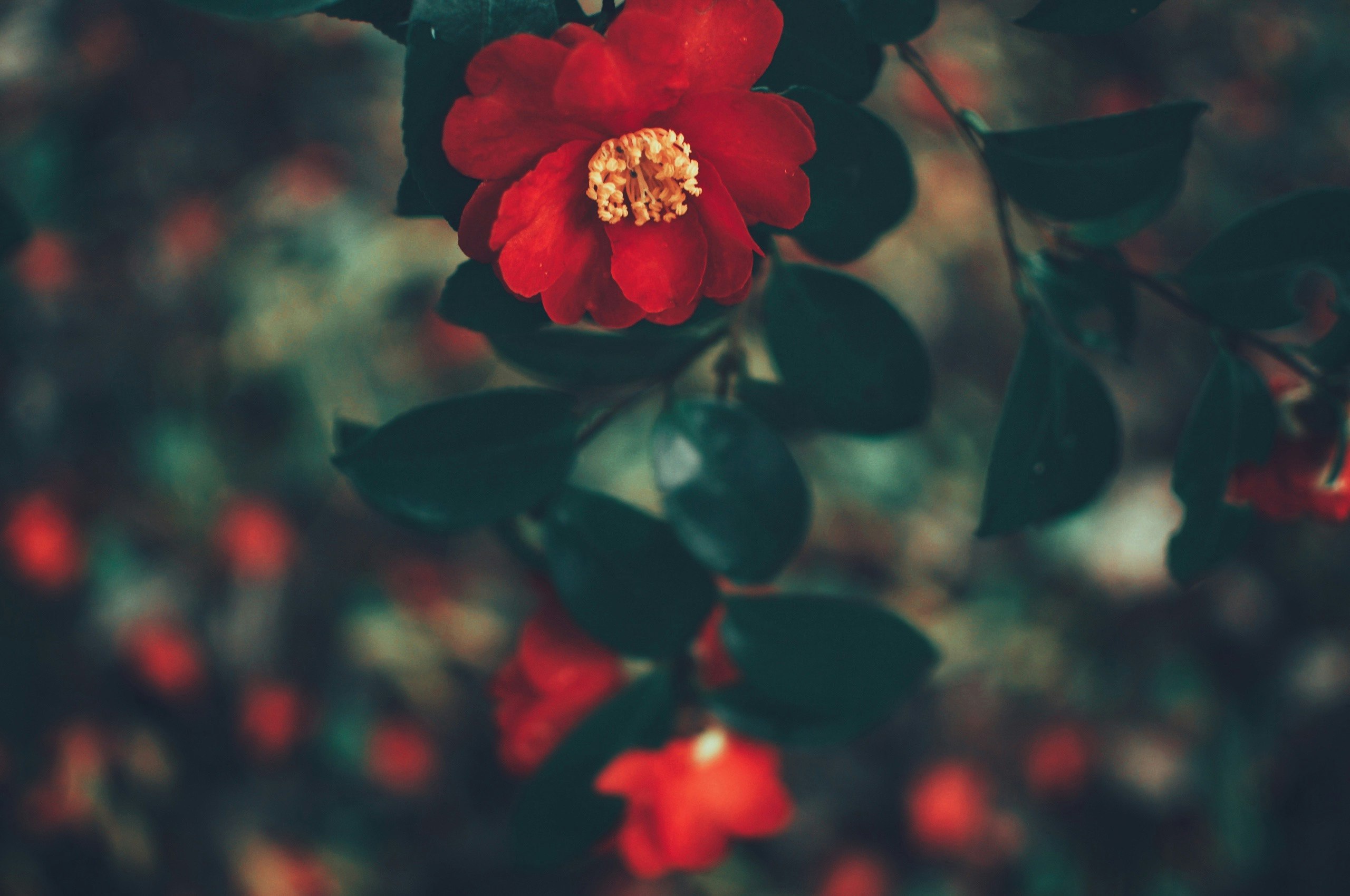 photo-i6by5BKyqRpOGZg5MBPb-image