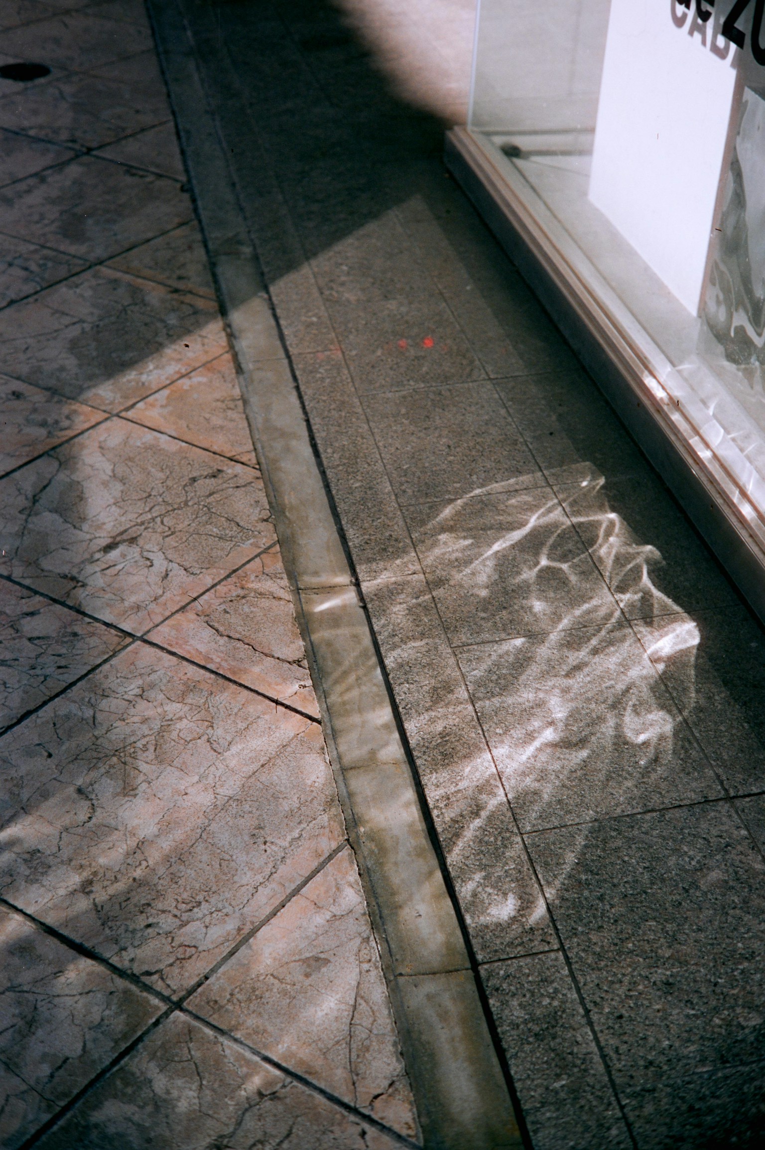 photo-i6fXPg533CJBsP5PqV4i-image