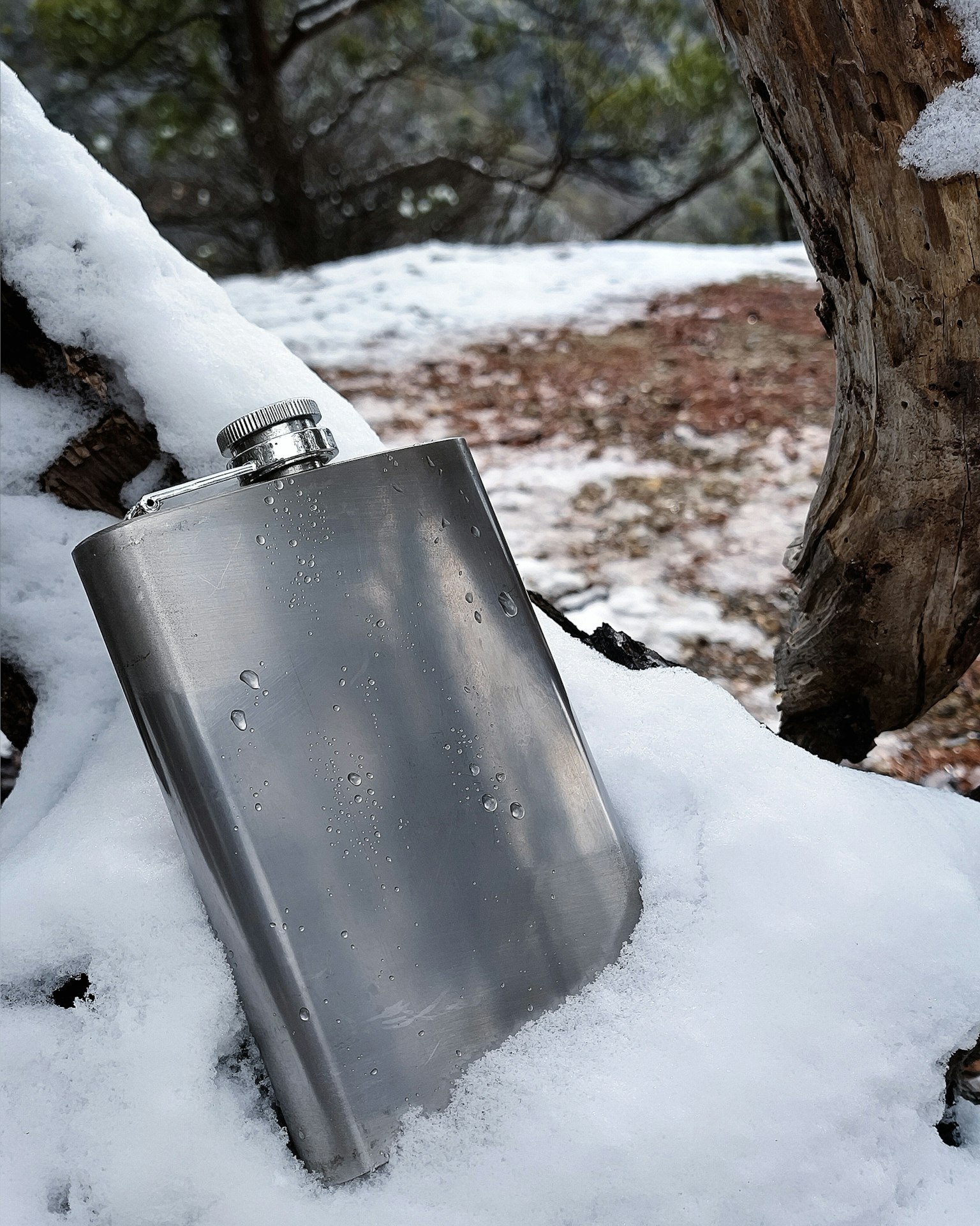 金属水壶 resting在雪中，周围有自然环境