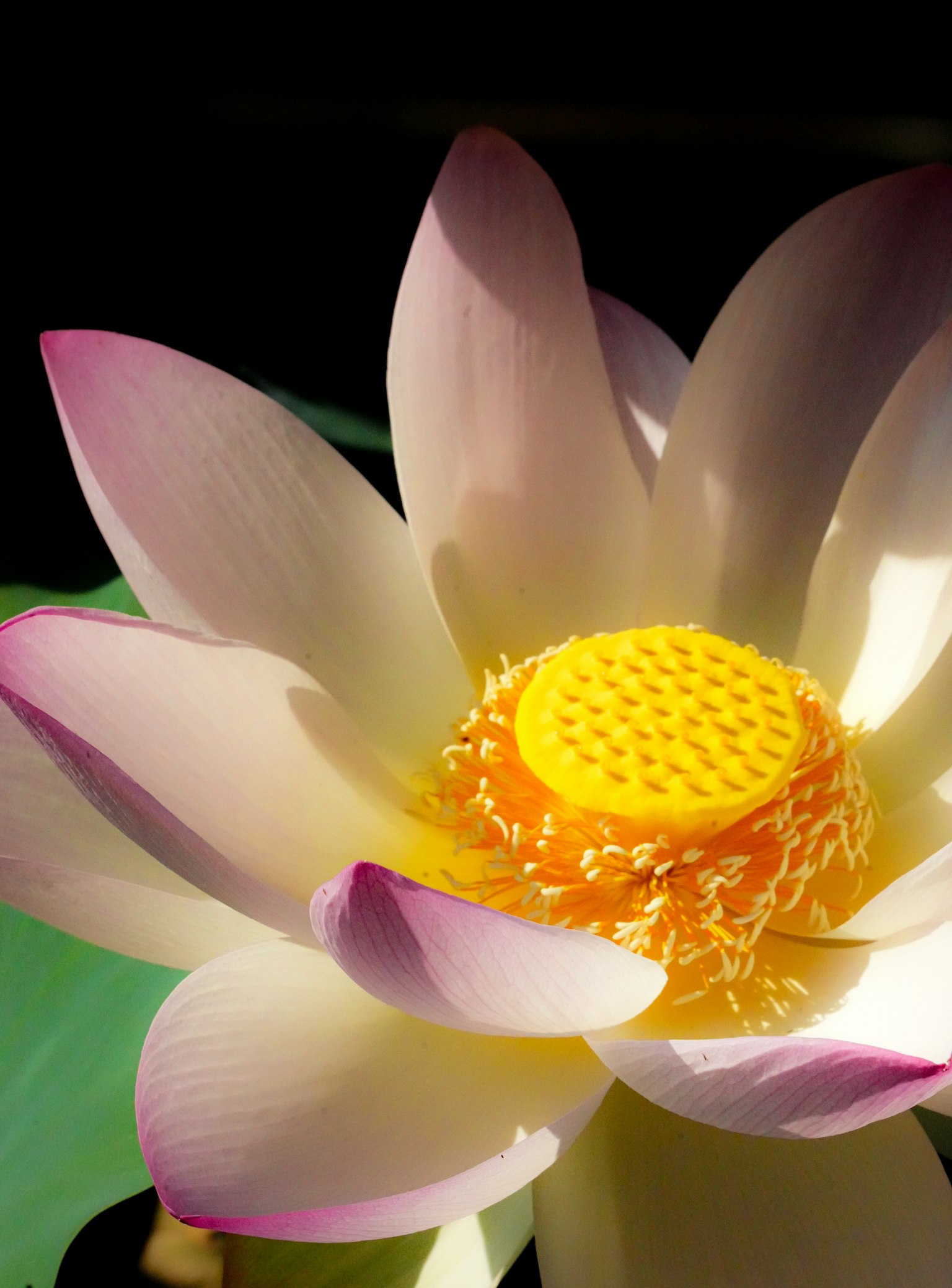 photo-i70beWWbqvjAhtW4sTtH-image