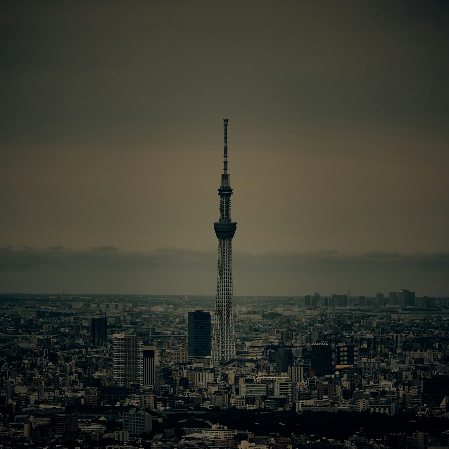 東京晴空塔矗立於城市天際線之上