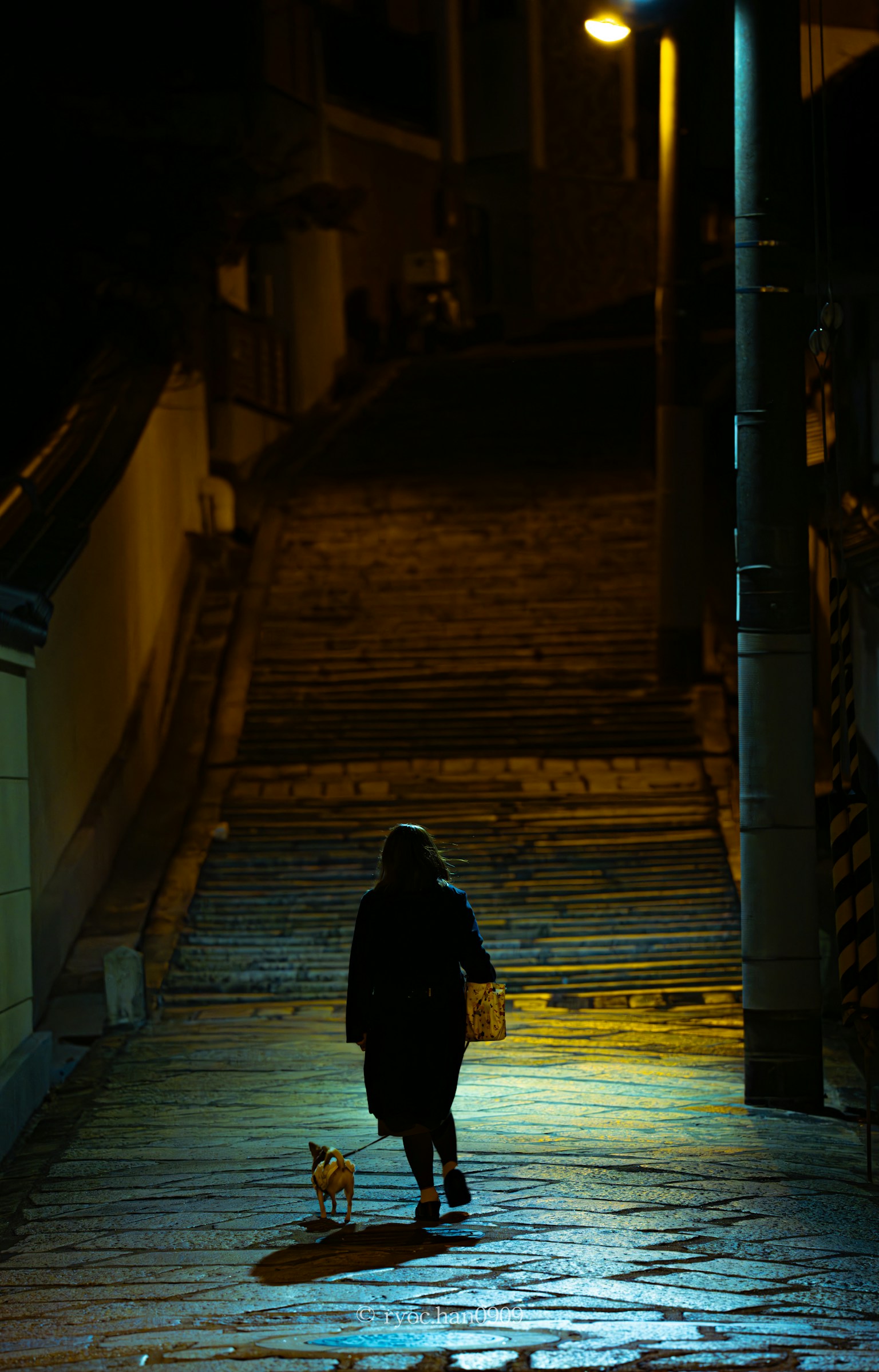 Seorang wanita berjalan dengan anjing kecil di jalan sepi di malam hari
