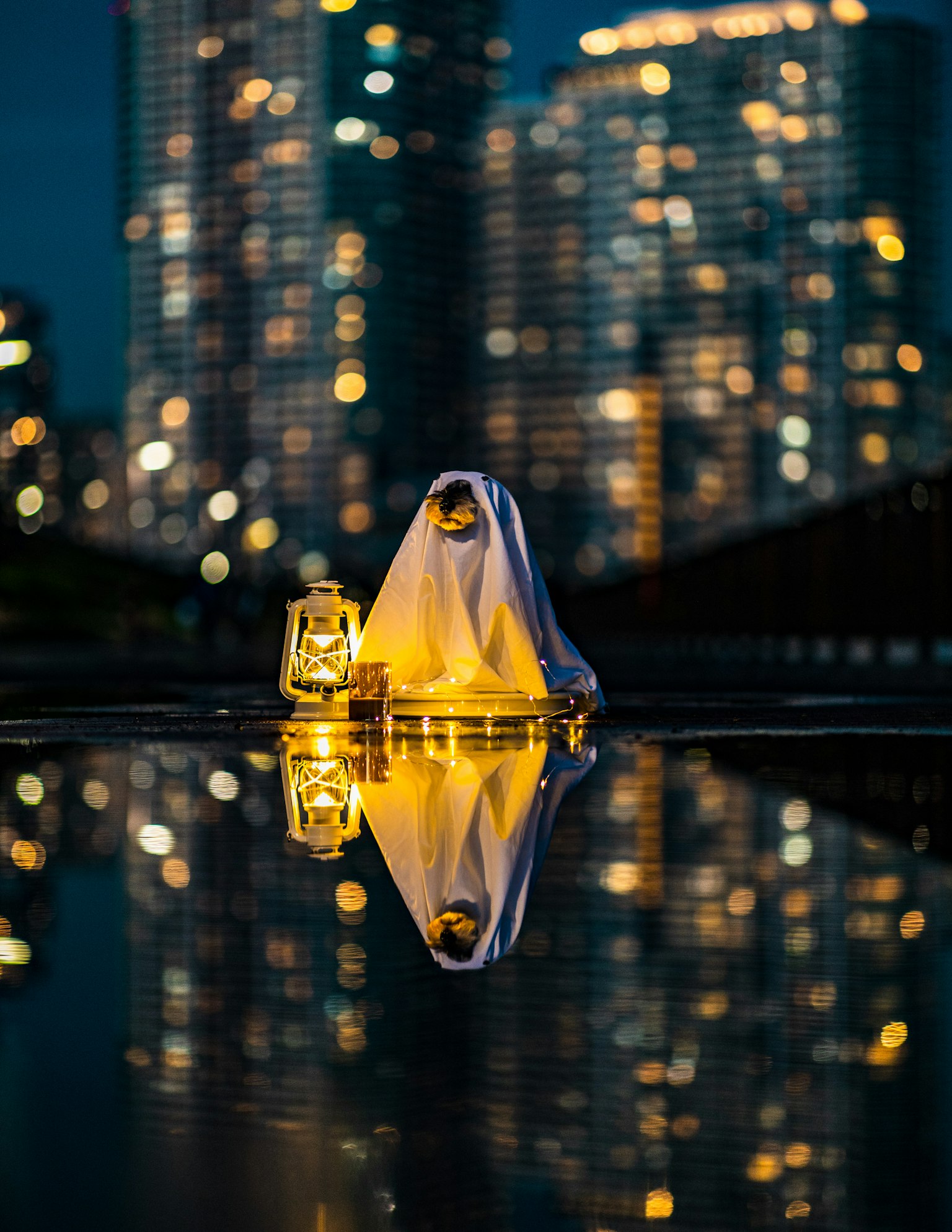 Lanterna con riflesso sull'acqua contro lo skyline notturno della città