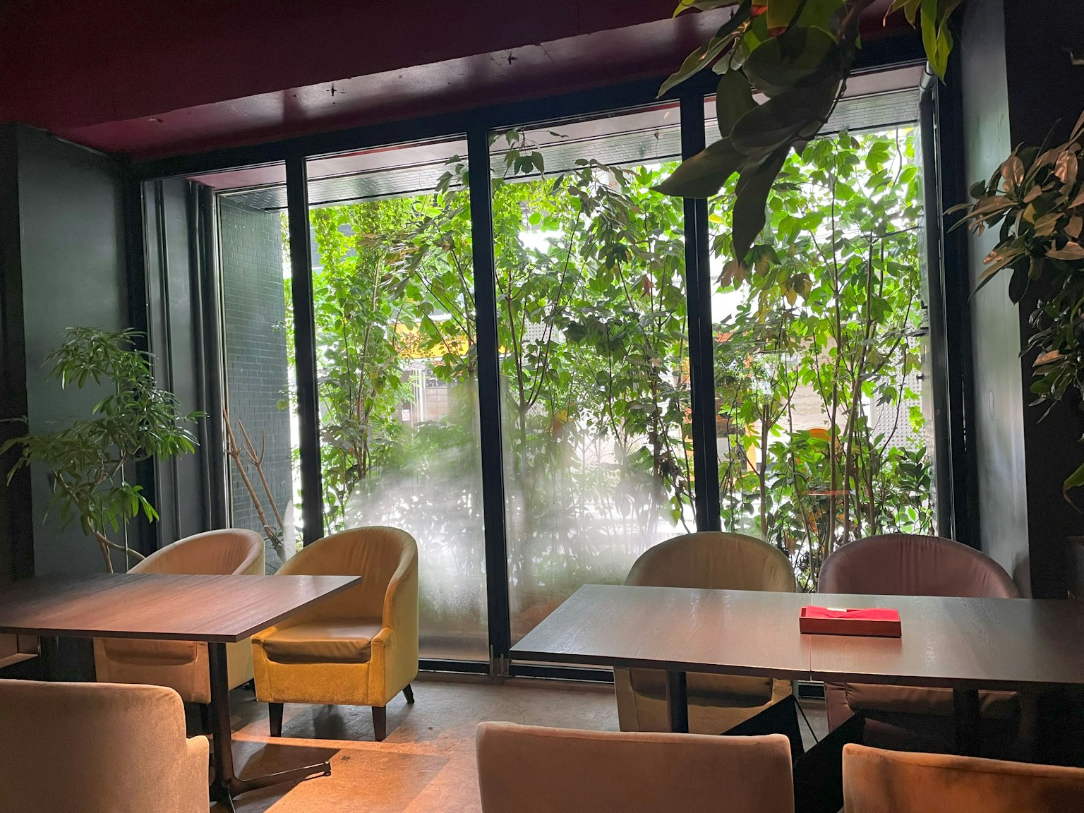 Interior cerah kafe dengan meja dan kursi di dekat jendela yang memiliki tanaman