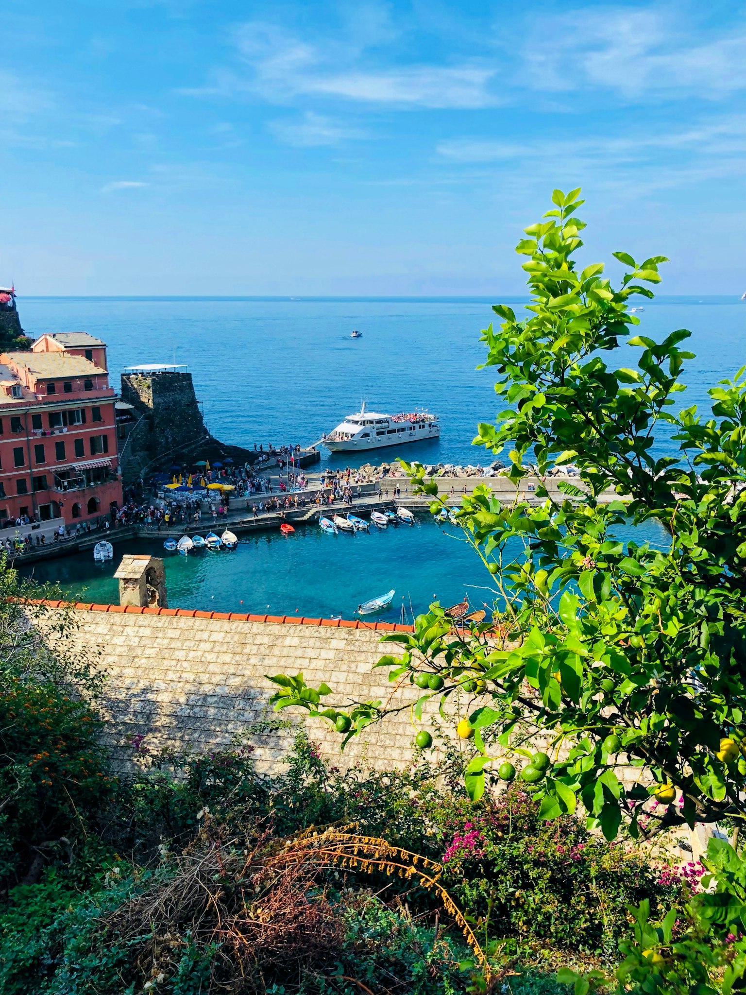 Scenic view of a harbor with boats surrounded by greenery and blue sky