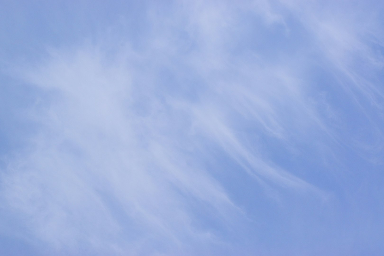 背骨のような雲が広がる青空