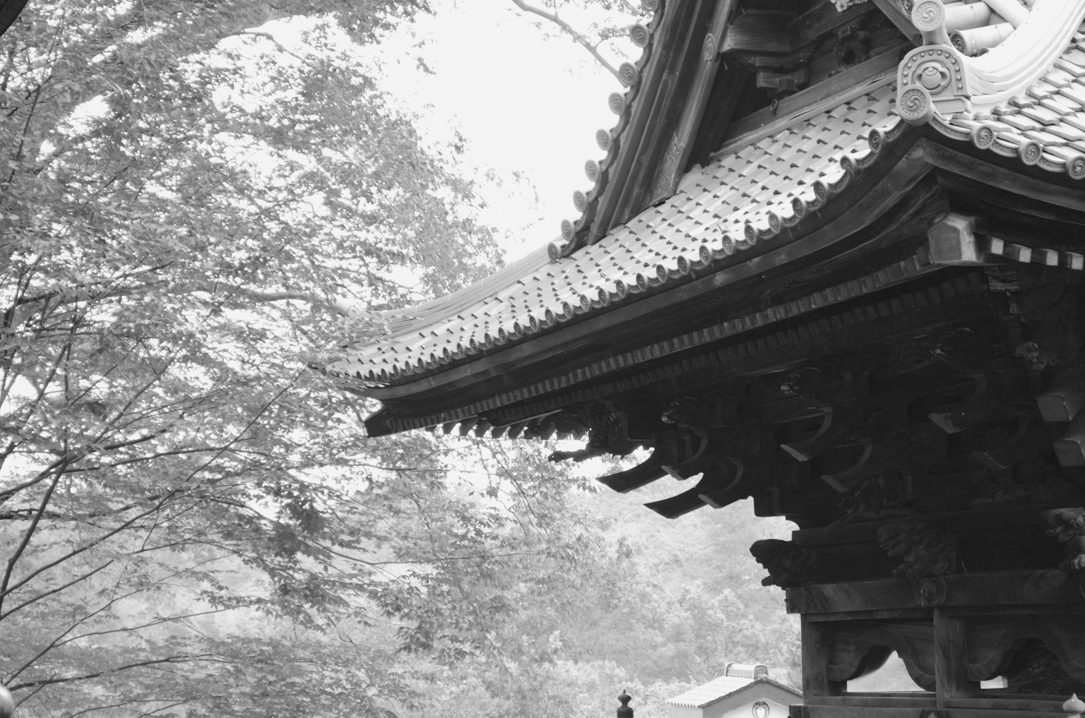 Vista detallada de un hermoso techo de templo japonés con árboles circundantes