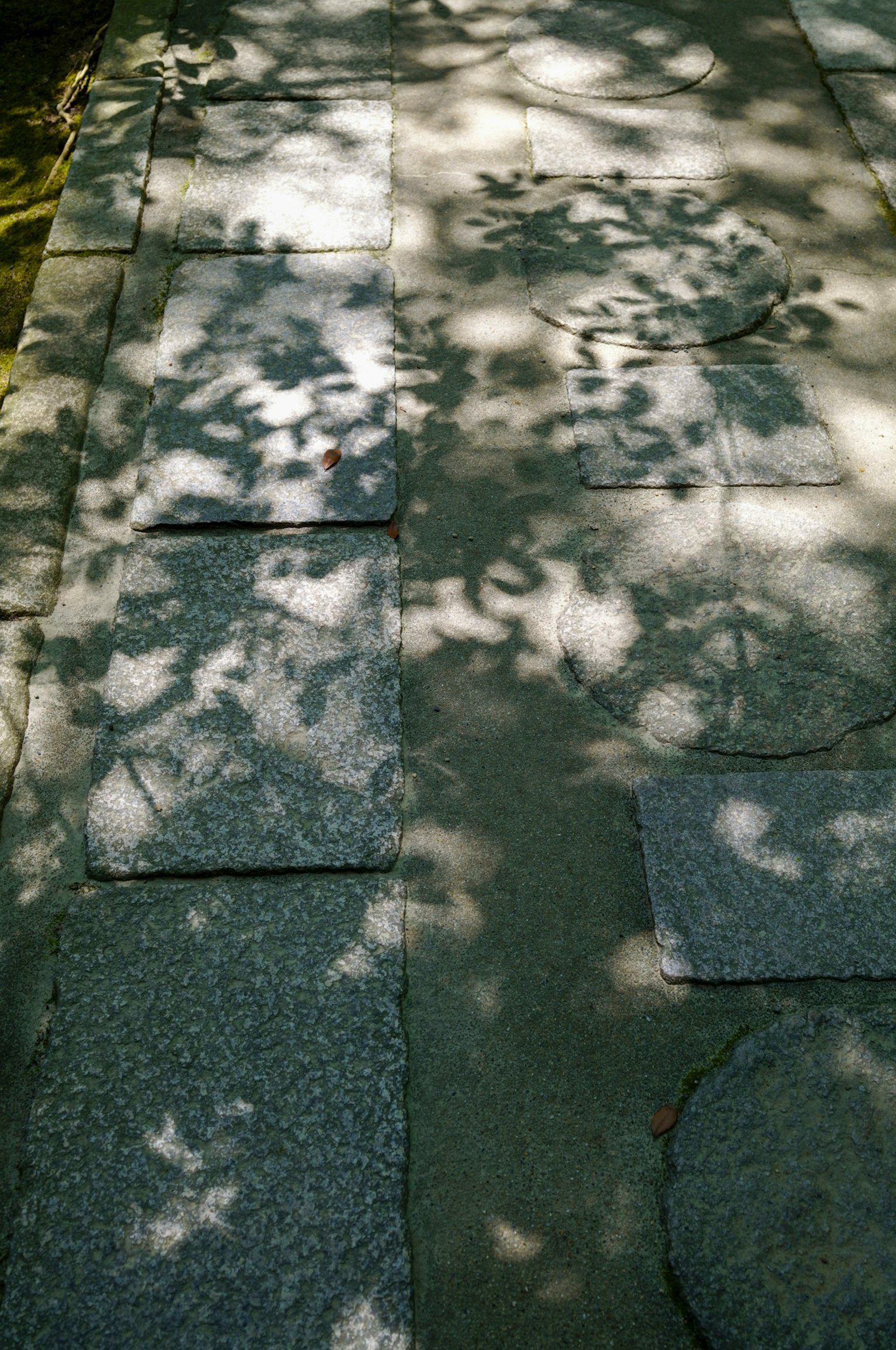 Beautiful leaf shadows cast on stone pavement