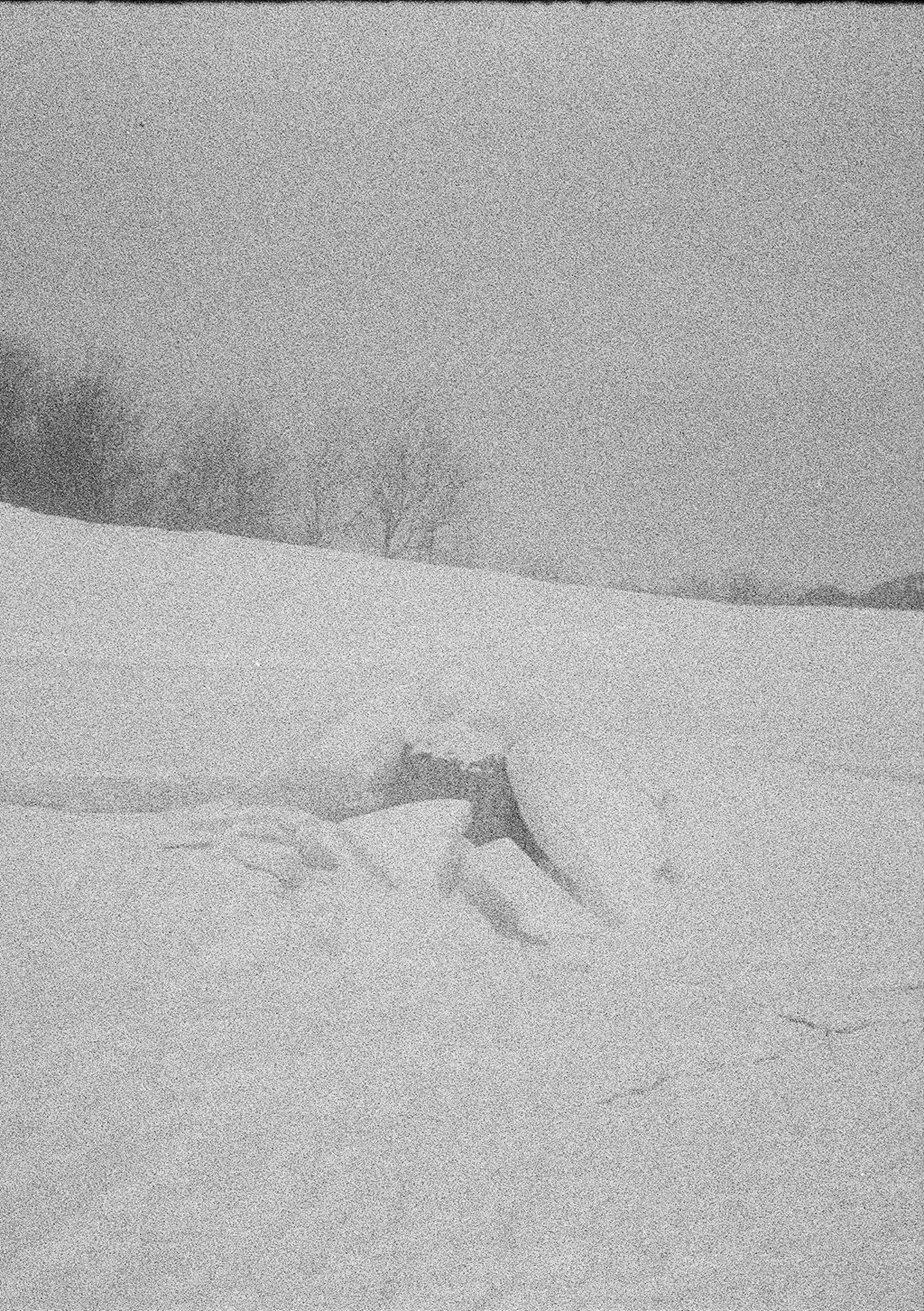 被雪覆盖的景观中可见一个小洞穴