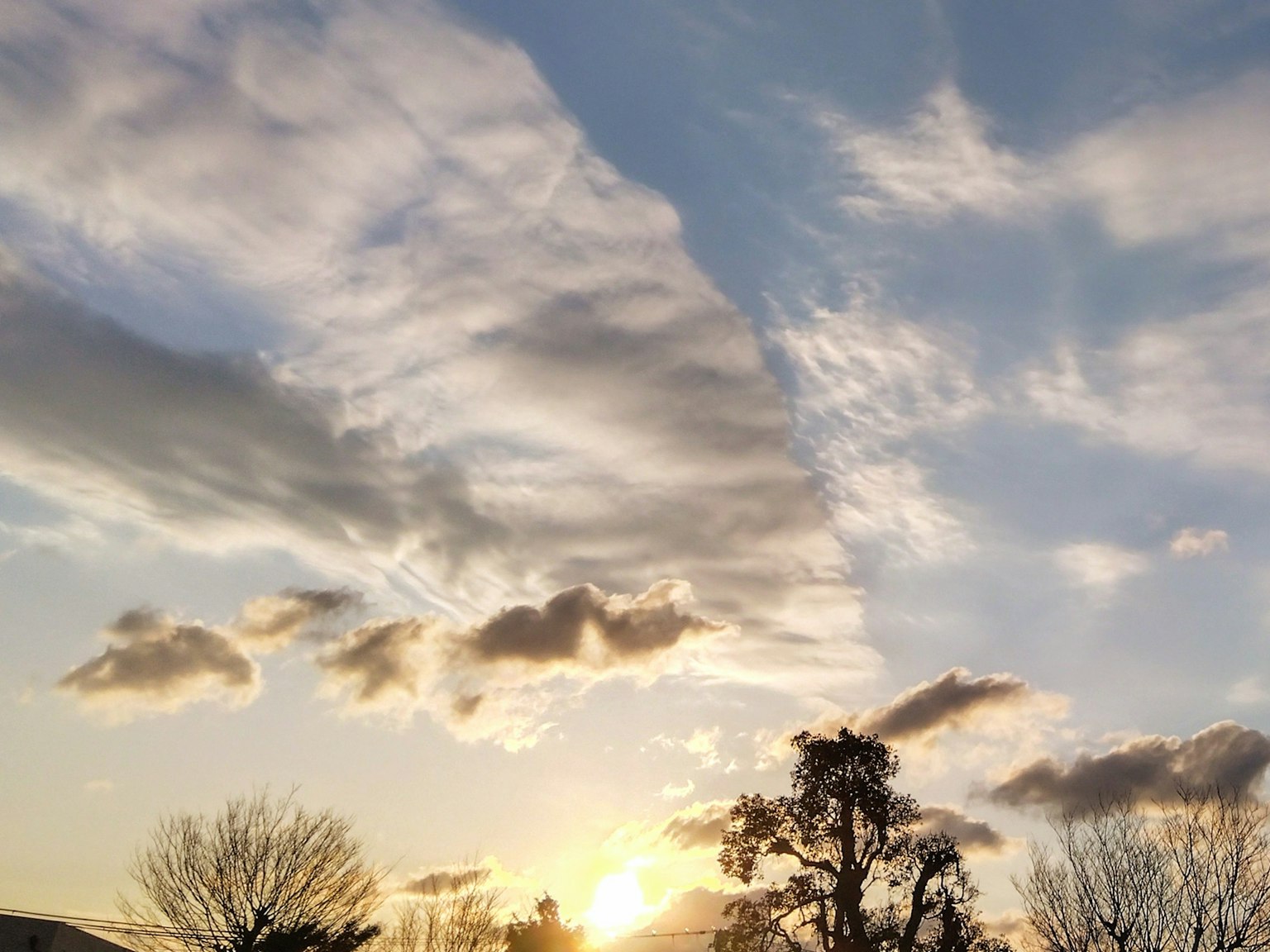 Silhouetten von Bäumen gegen einen Sonnenuntergangshimmel mit Wolken