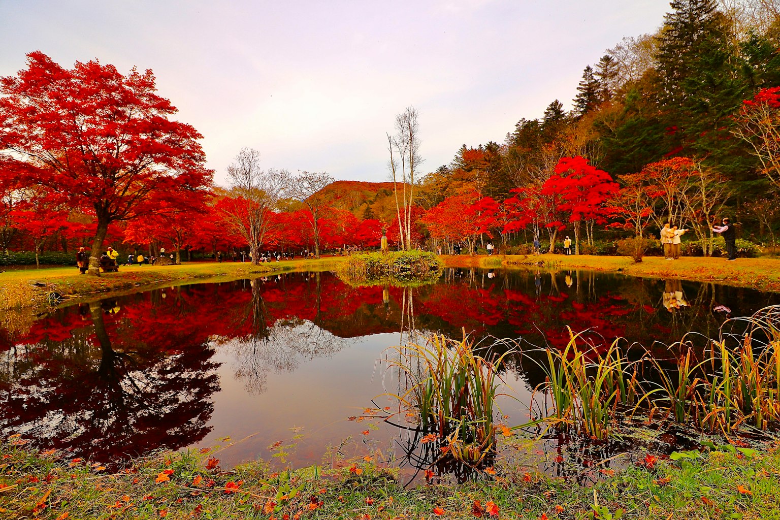 Vista panoramica di uno stagno che riflette foglie autunnali rosse