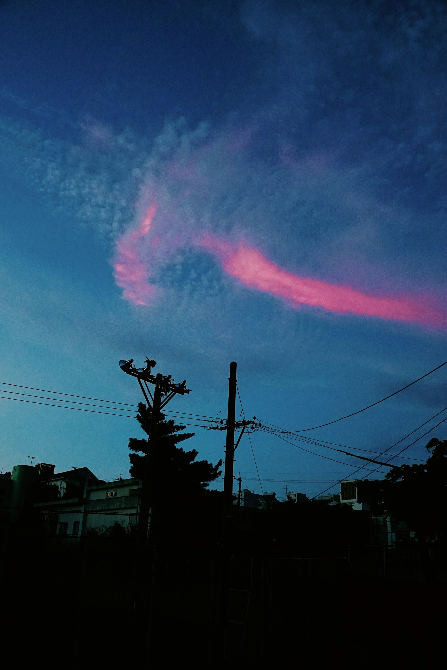 青い空に浮かぶピンクの雲とシルエットの家々