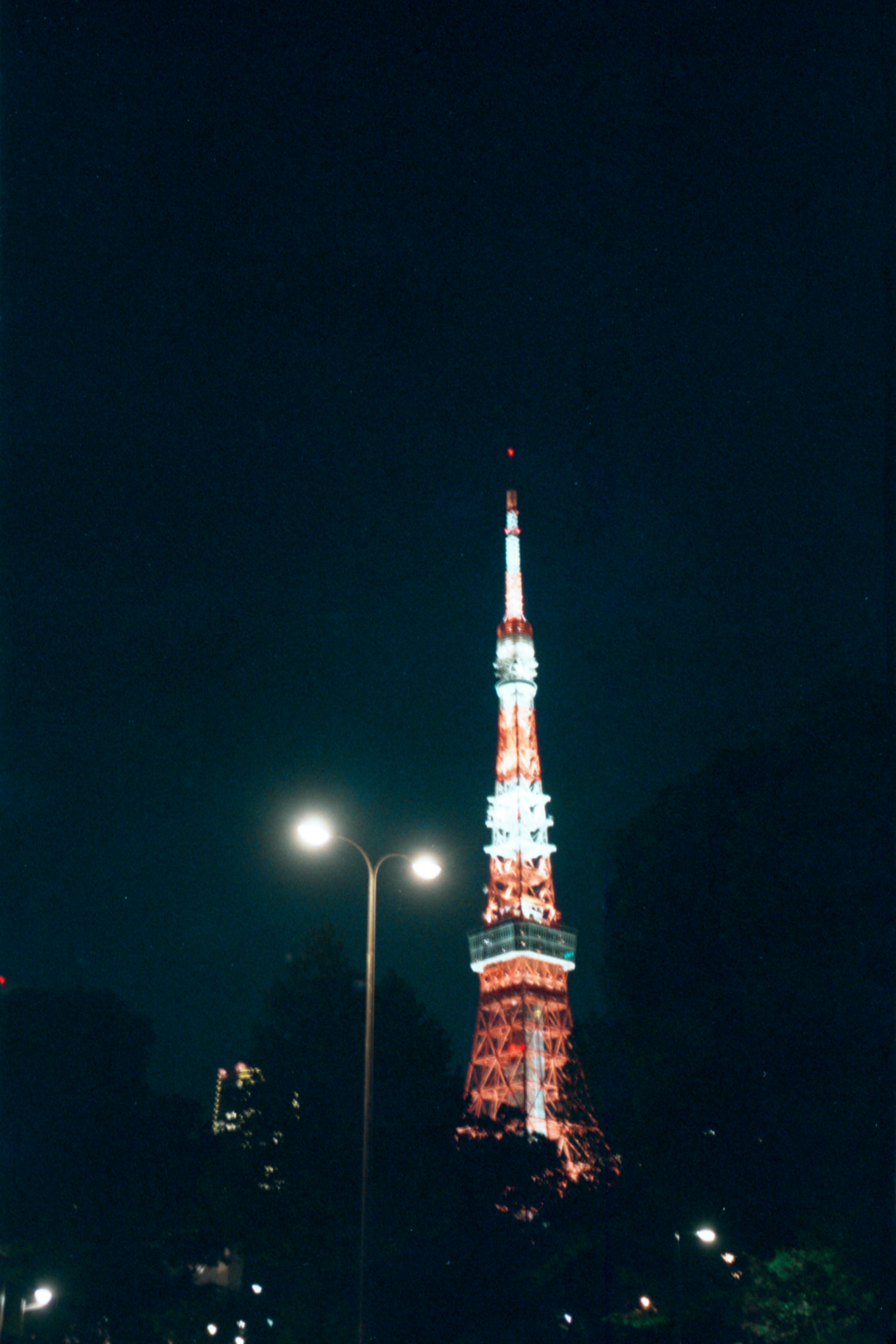 東京タワー周辺の夜景を見上げる