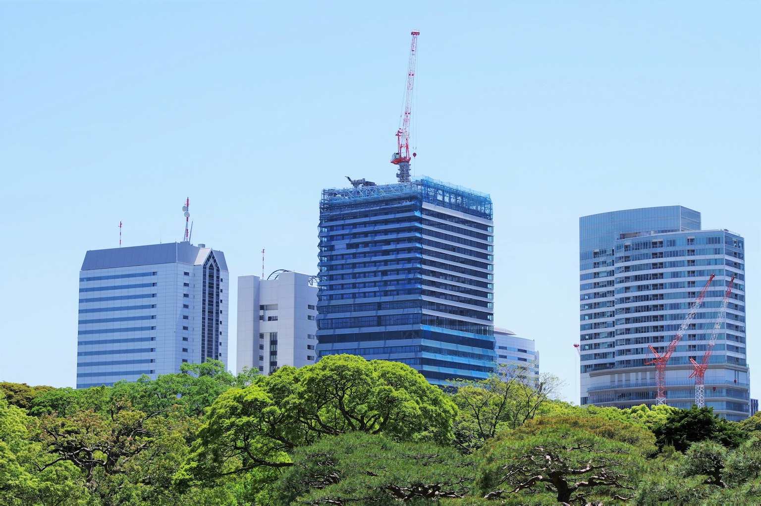Moderne Skyline mit Gebäuden und Kran über grünen Bäumen