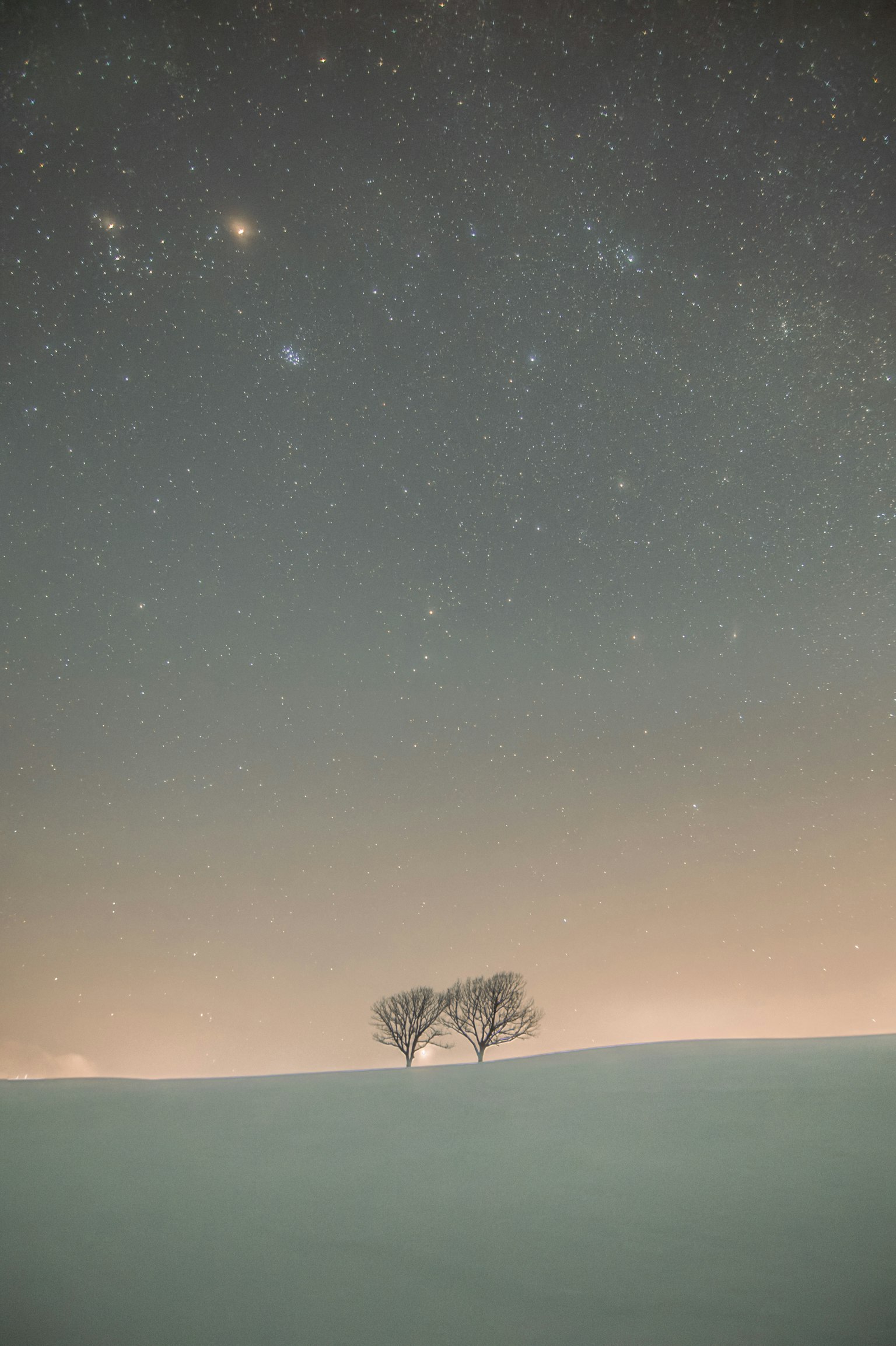 Deux arbres sous un ciel étoilé sur une colline enneigée