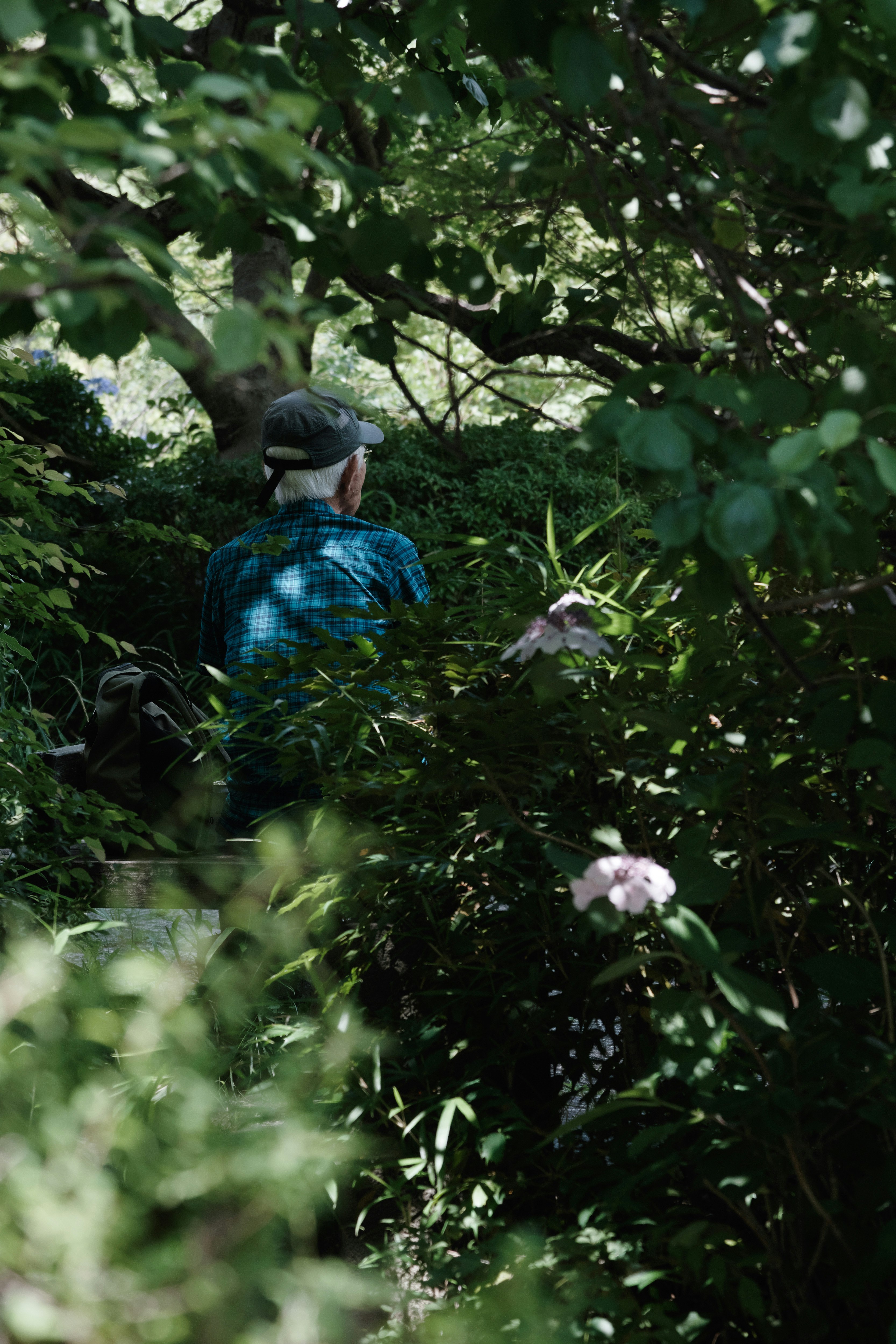 Persone che si godono il pranzo in un parco verde circondato da nuova vegetazione