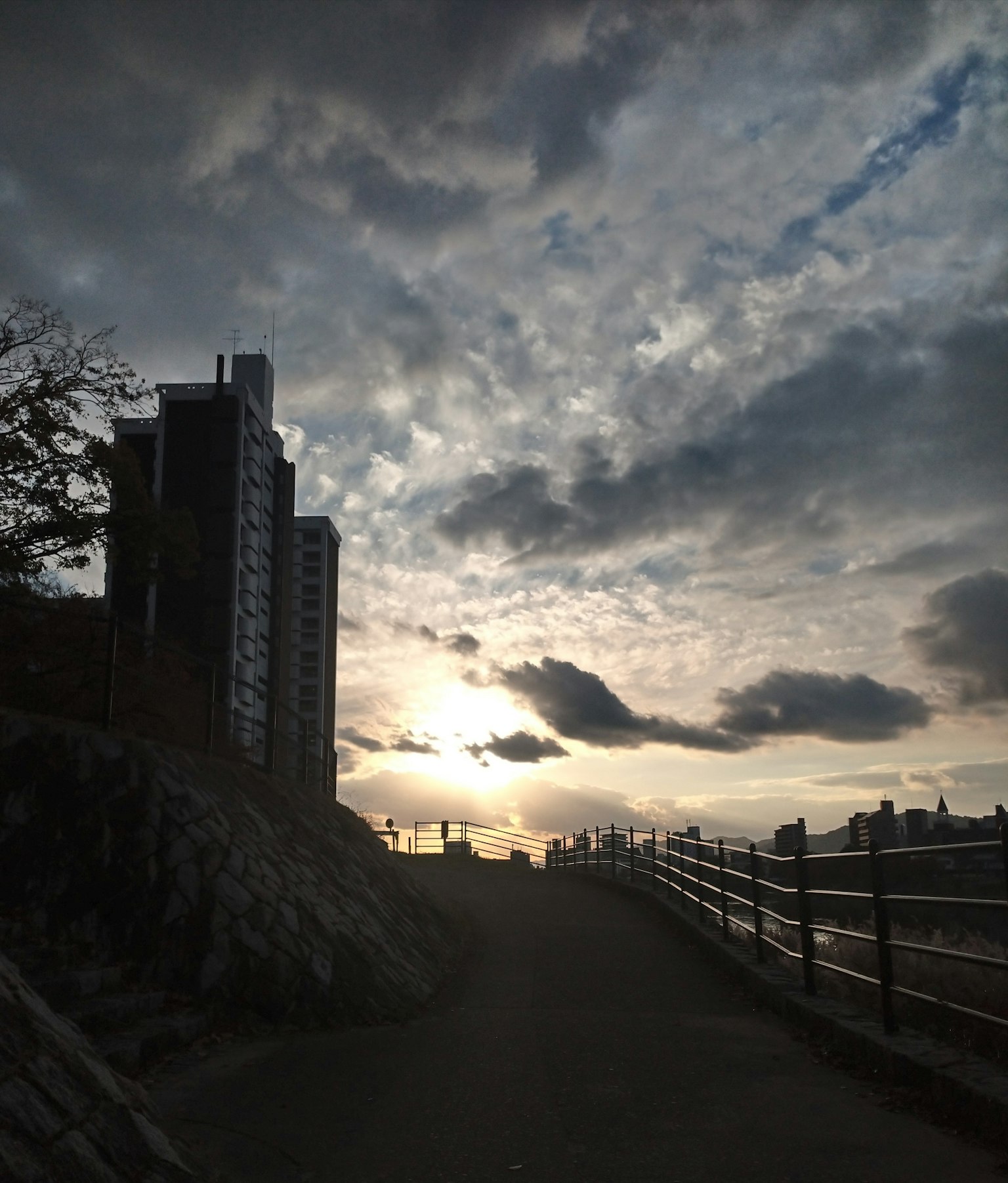 高樓在日落天空下的輪廓沿著小路