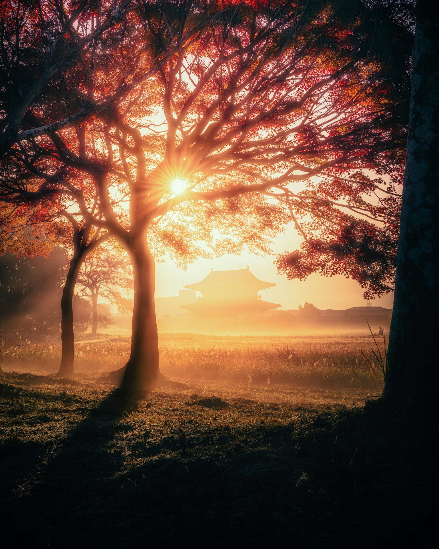 photo-iDFFSdpkkzlI7Gg2aW2M-image