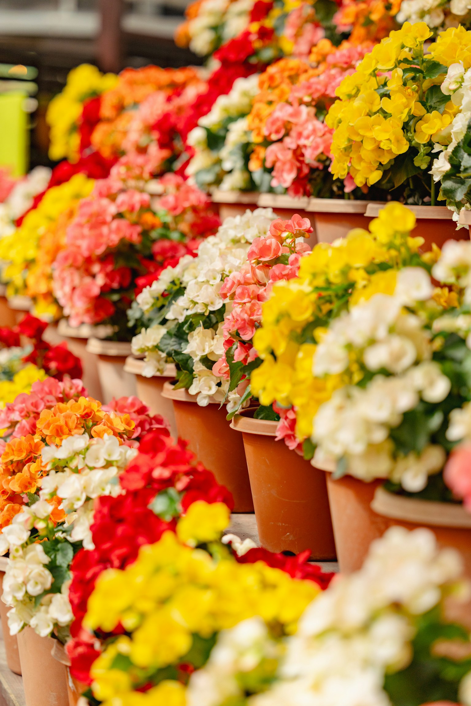 photo-iDVHzVSPoTSFk3xKI6Da-image