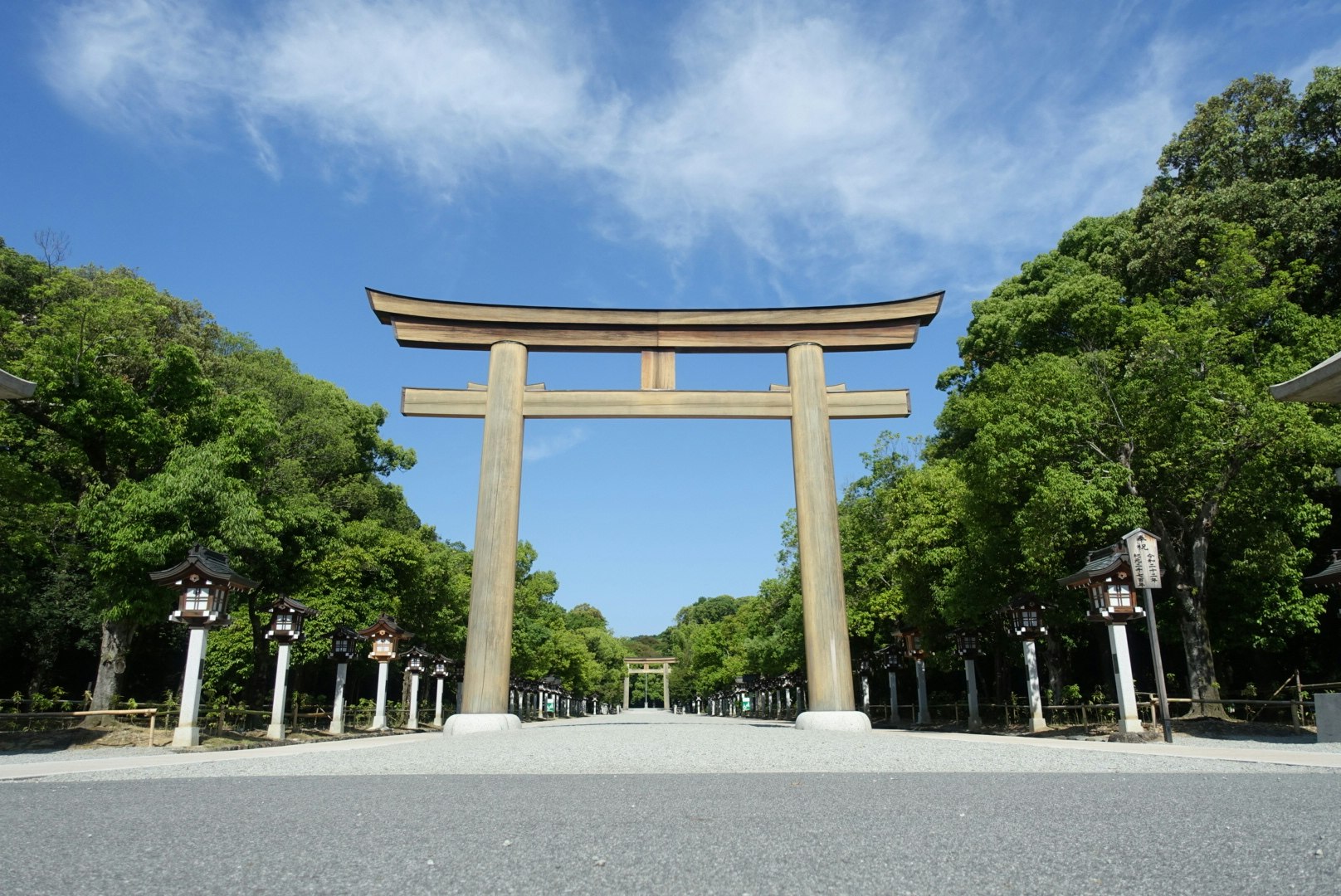 緑の森に囲まれた鳥居のある神社の参道