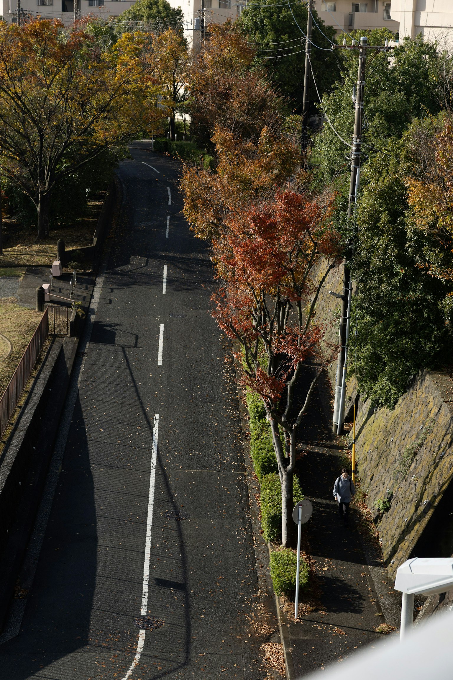 Eine ruhige Straße gesäumt von Bäumen in Herbstfarben
