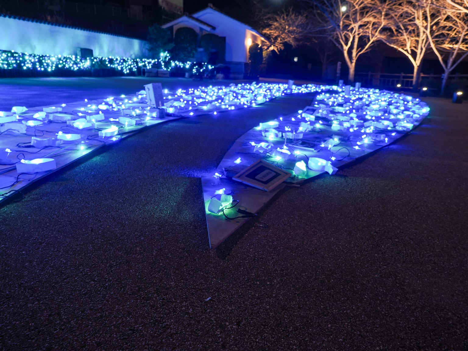 Pemandangan taman yang dihiasi dengan lampu biru