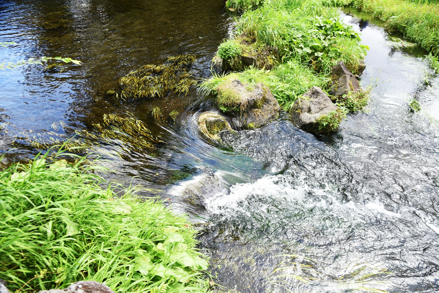 A scenic view of a stream with flowing water and lush green grass