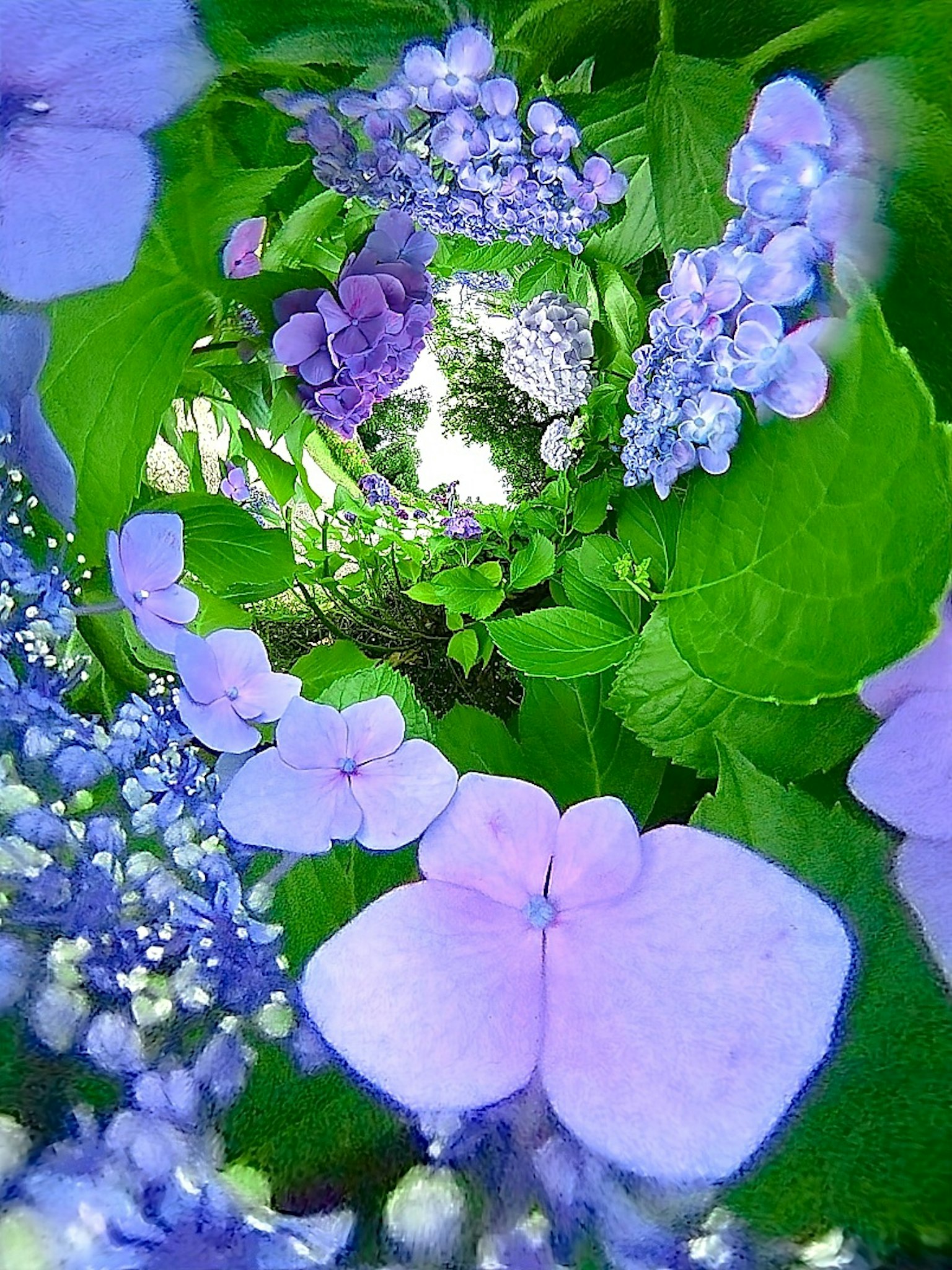 Un hermoso diseño con flores moradas reunidas en el centro