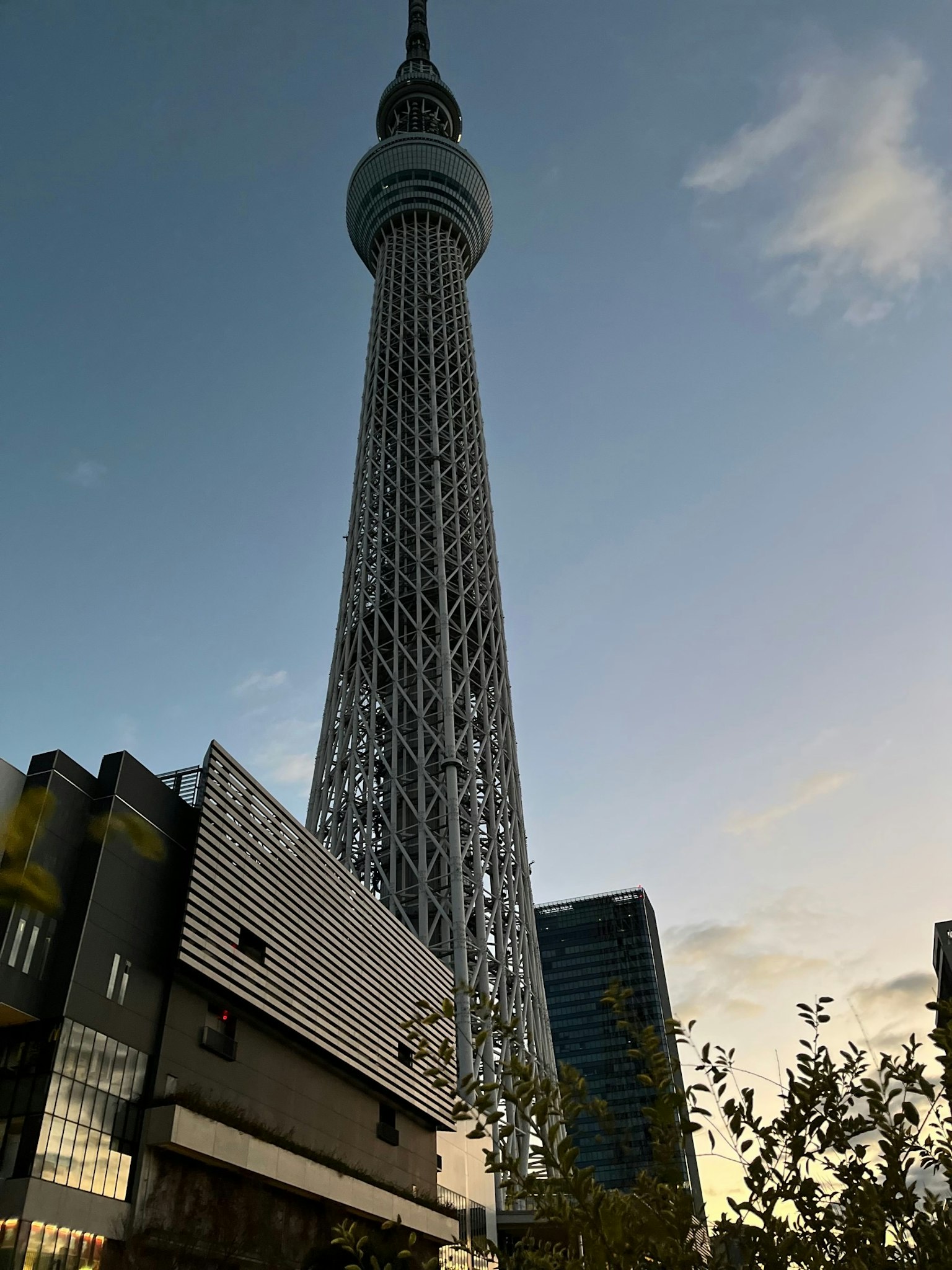 Tokyo Skytree menjulang tinggi di langit dengan gedung-gedung di sekitarnya