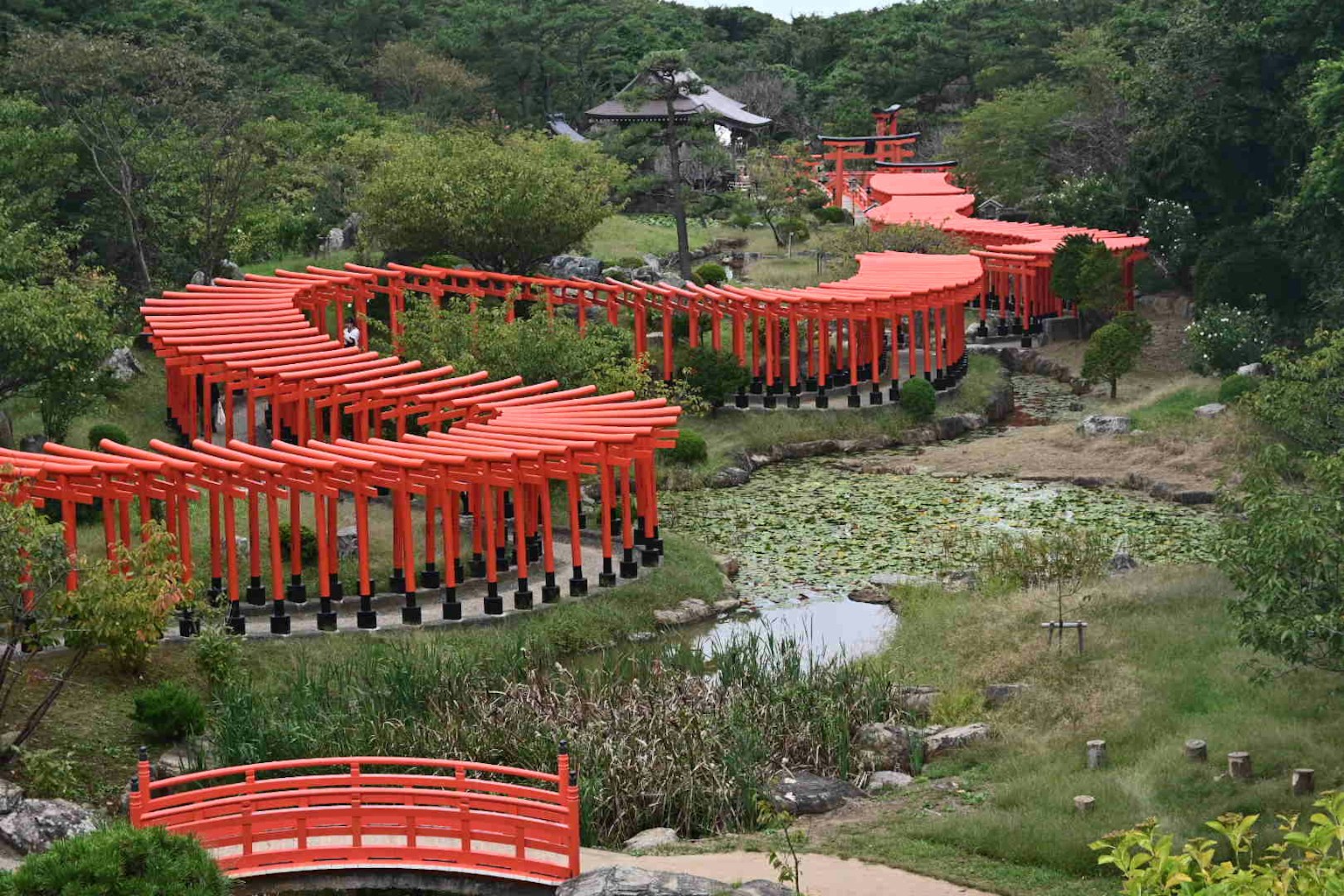 Jalur melingkar dari gerbang torii merah di taman dengan vegetasi dan kolam