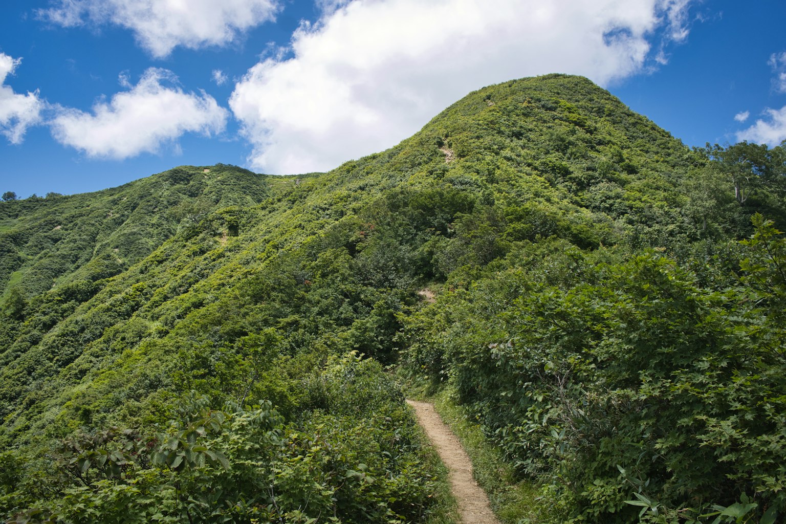 Colinas verdes con un camino de tierra bajo un cielo azul