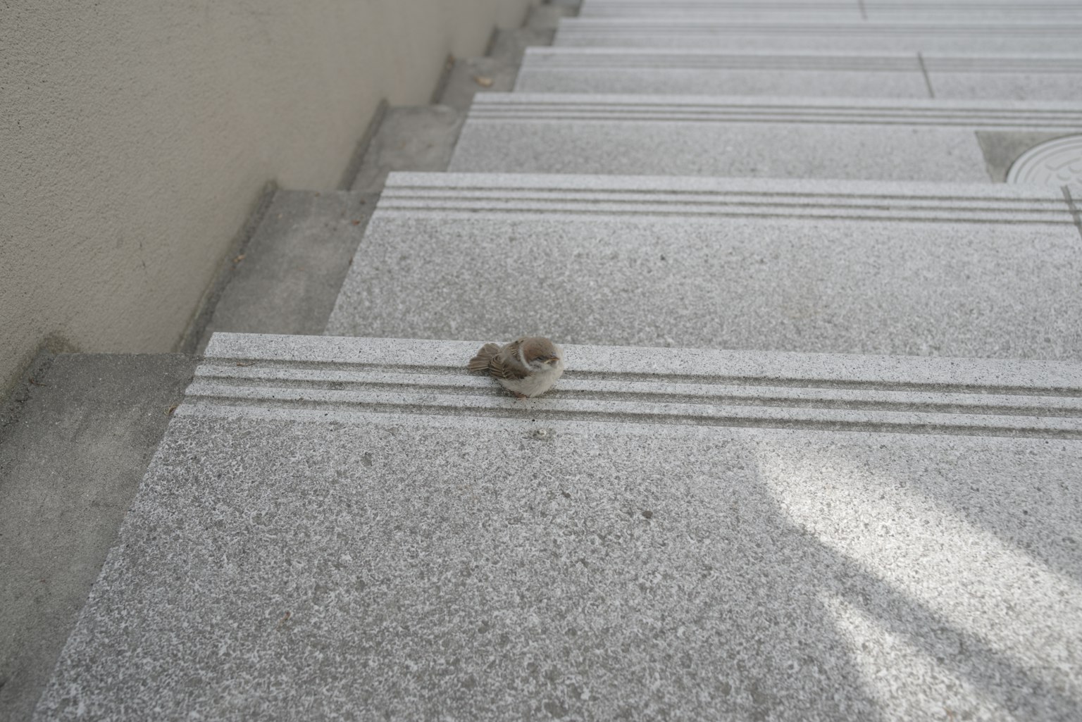 Petit objet rond reposant sur des escaliers en pierre grise