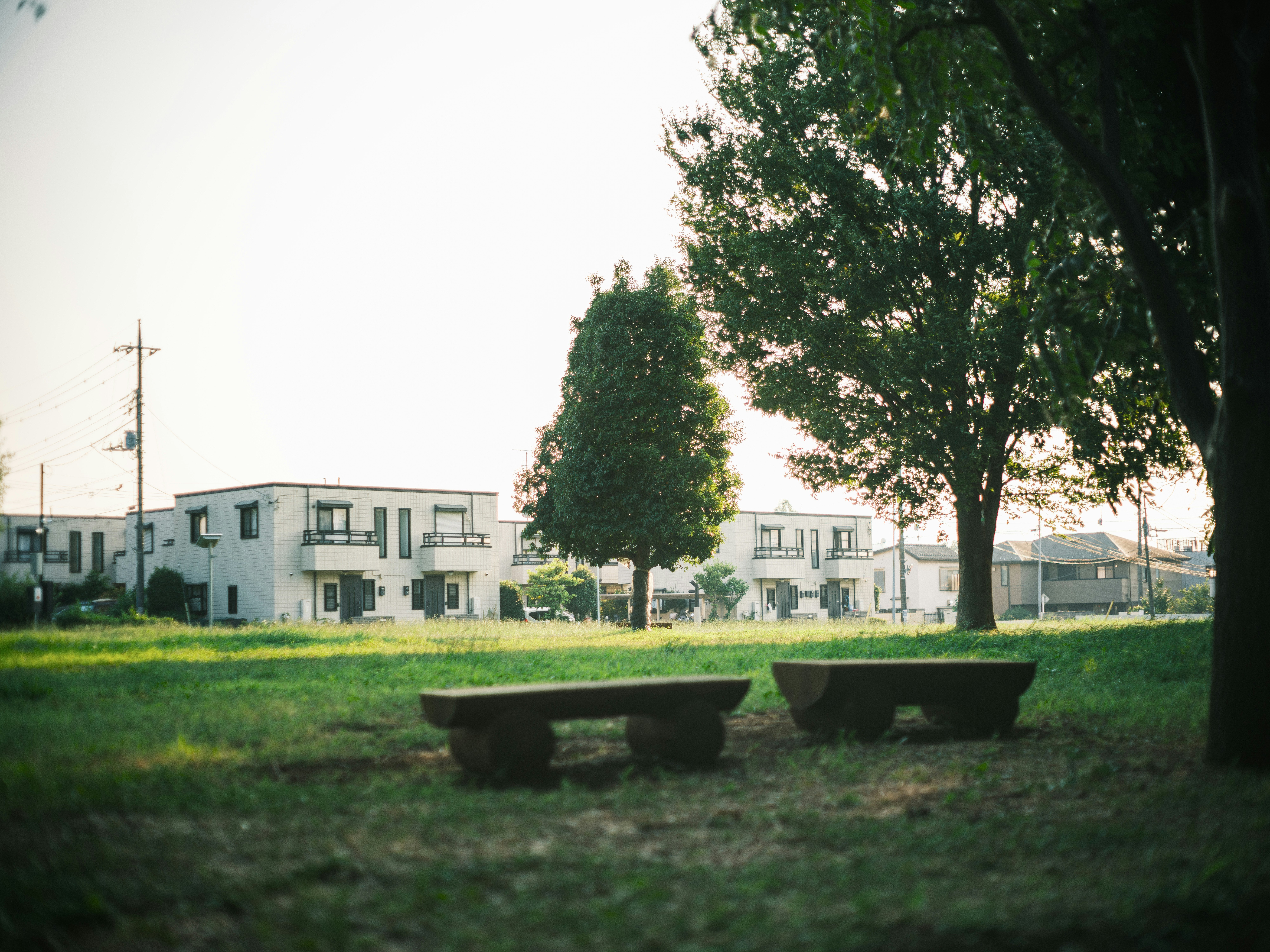 campus park scene with grass, benches, and buildings