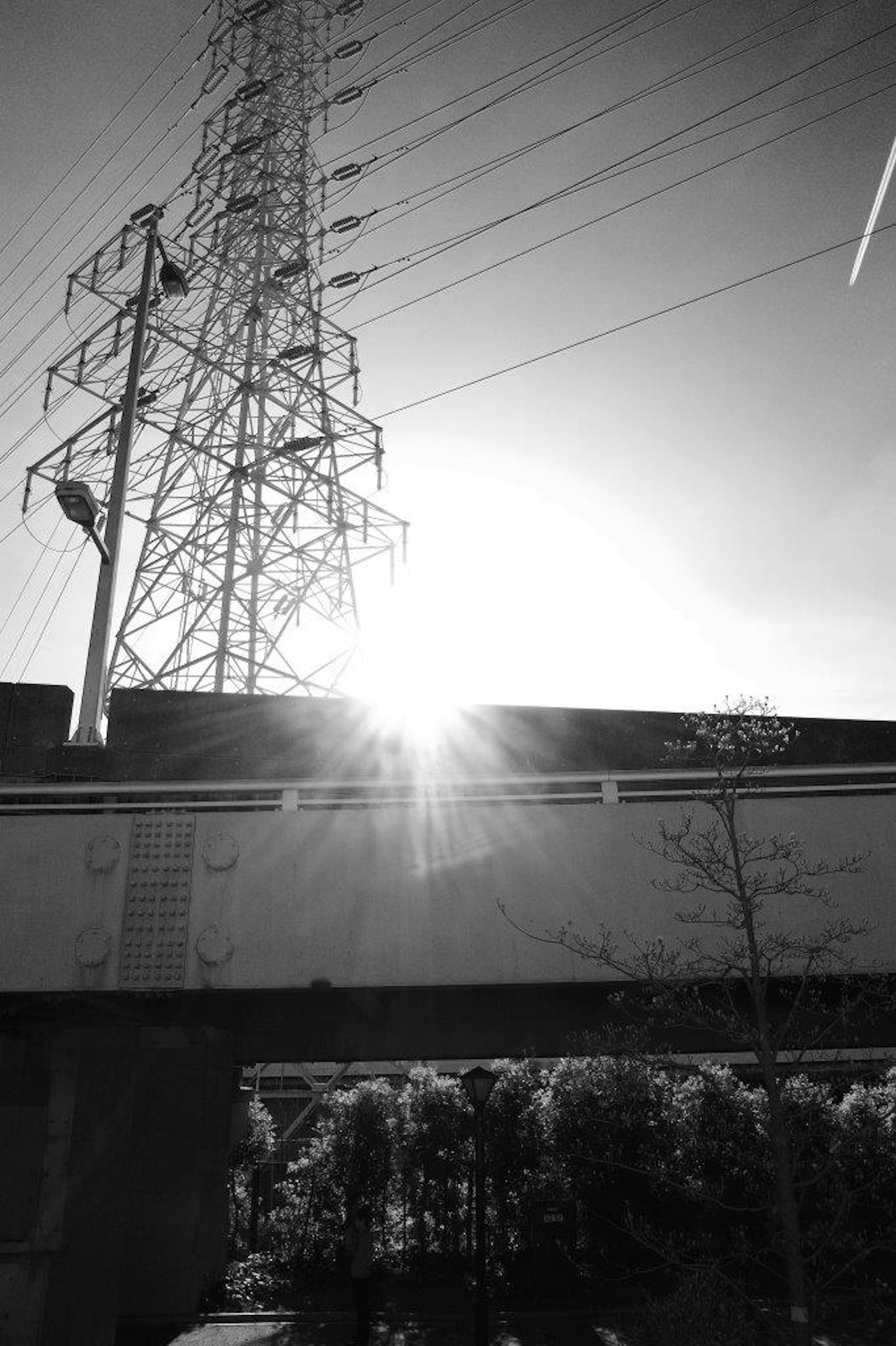Foto en blanco y negro con líneas eléctricas y la silueta del sol