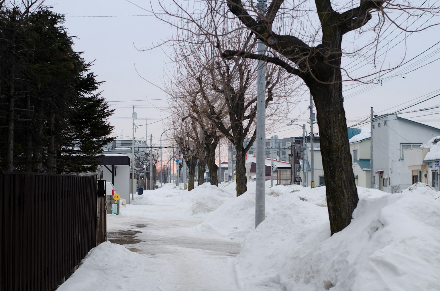 冬季景观，雪覆盖的小路和树木