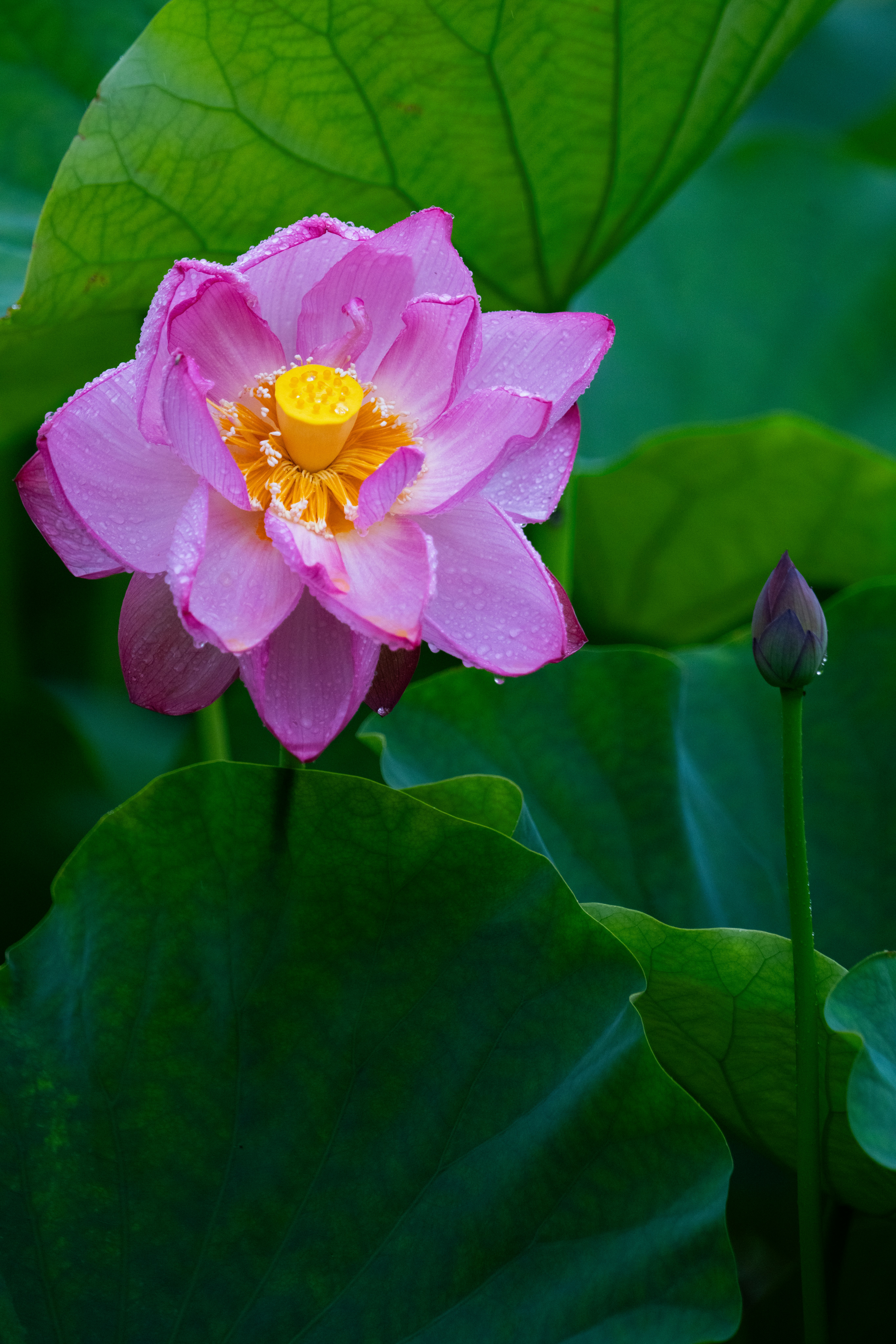 photo-iGVu8h3aEWB2277iu2jX-image