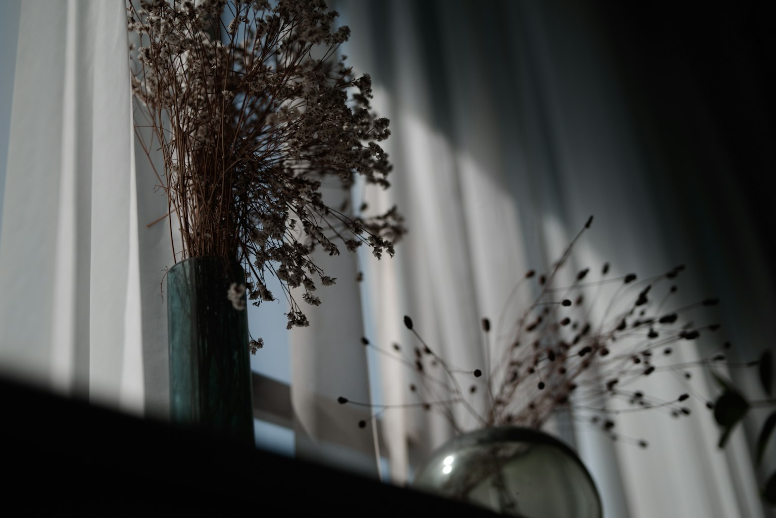 Dried flowers in a vase by a window with soft curtain light