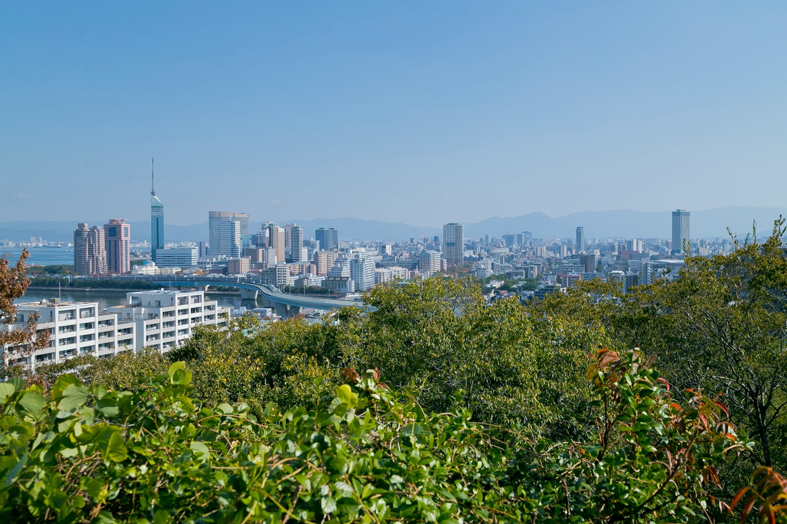 城市全景，前景有綠色樹木