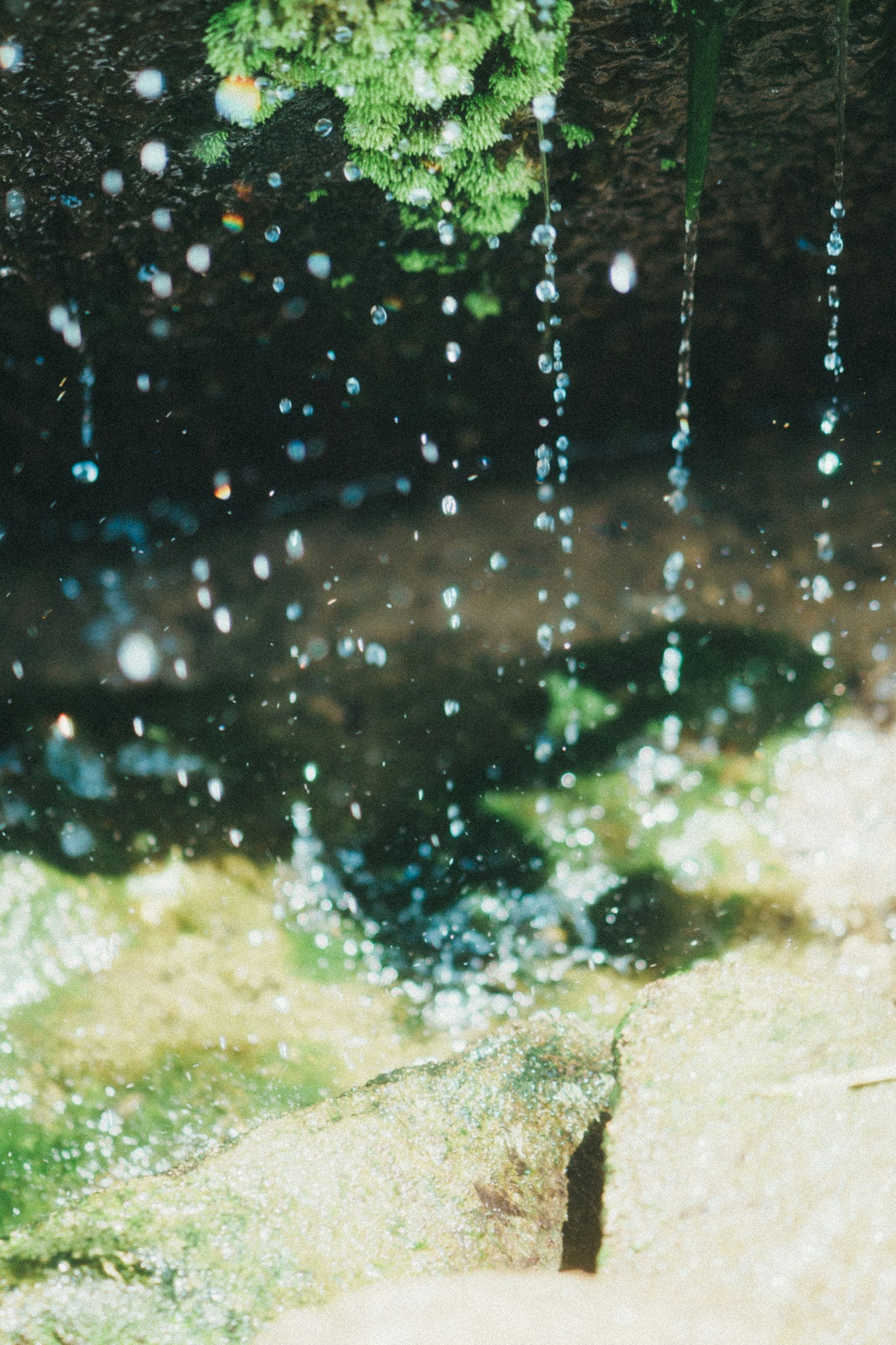 Image montrant des gouttes d'eau tombant sur des pierres avec de la verdure en arrière-plan