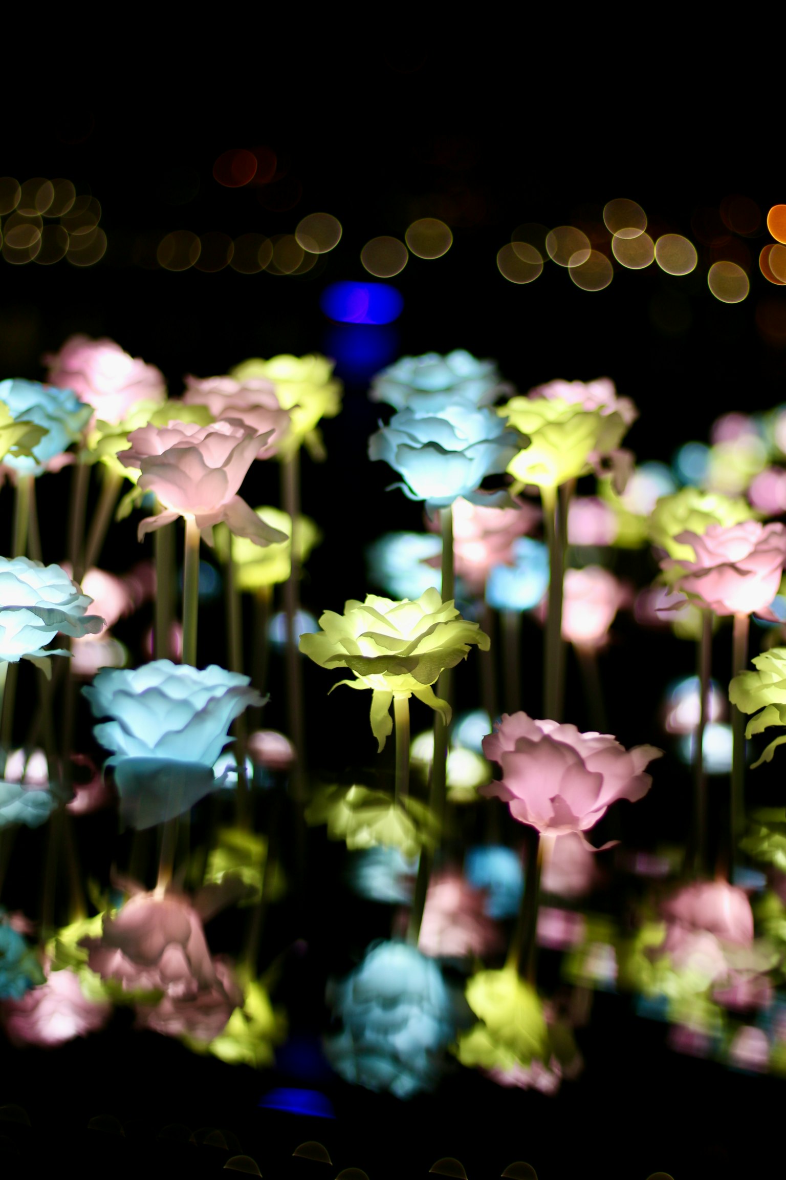 Una escena mágica de flores iluminadas de colores reflejándose en la superficie del agua