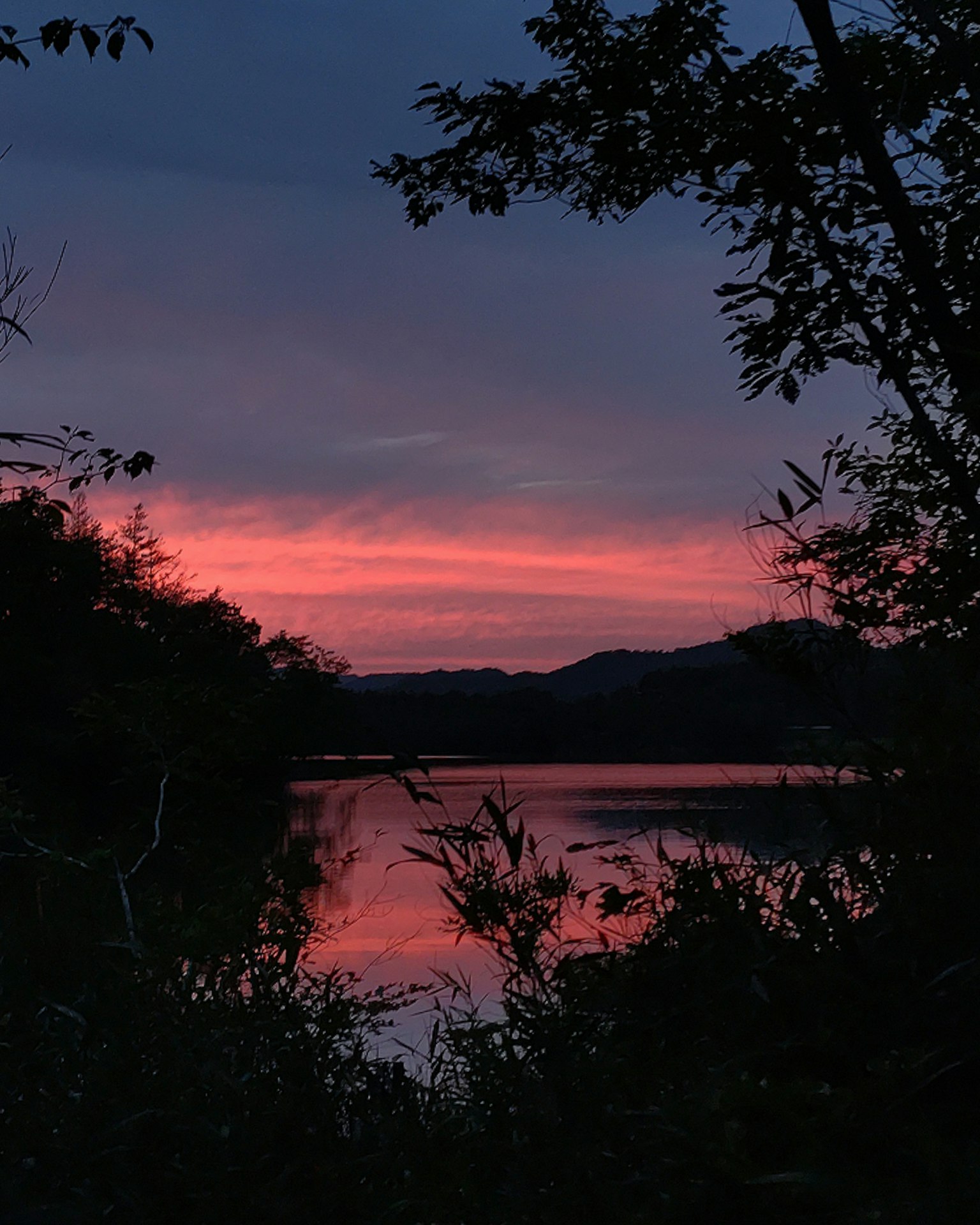 Lago pintoresco al atardecer con vibrantes tonos rosas y morados enmarcado por árboles