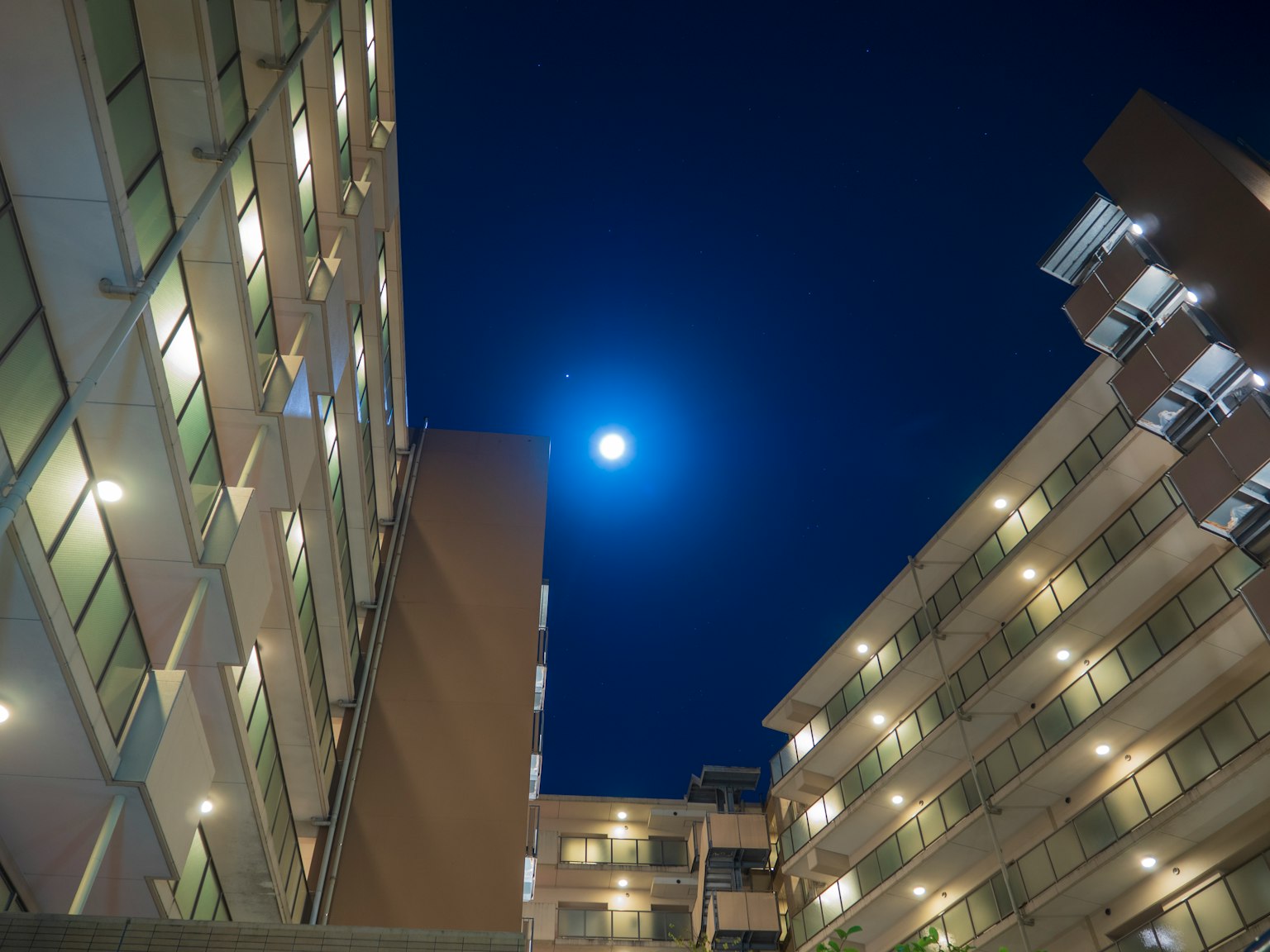 夜空中明亮的满月在高楼之间