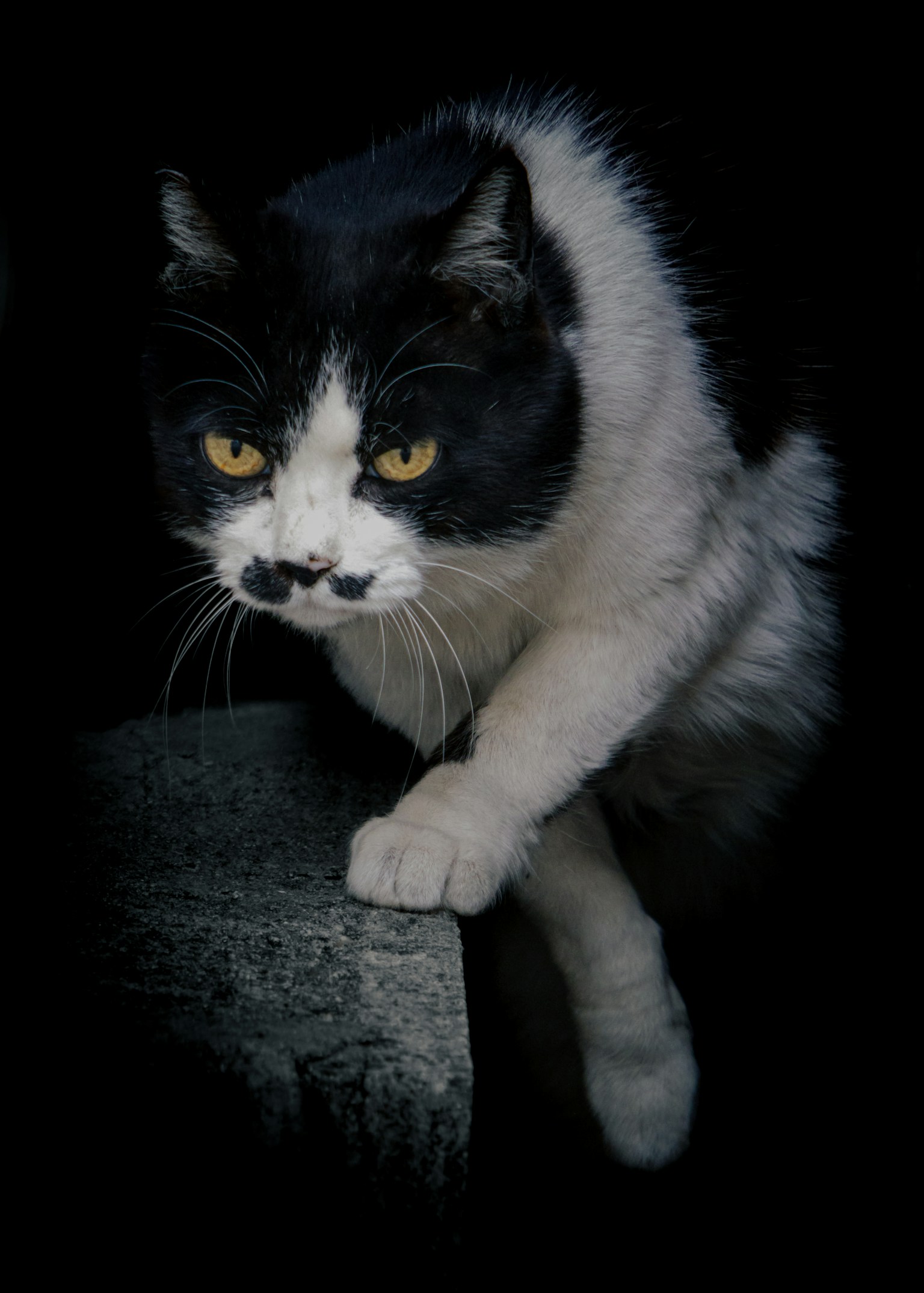 photo-iIhhpoMFPotTQrM7X5vT-image