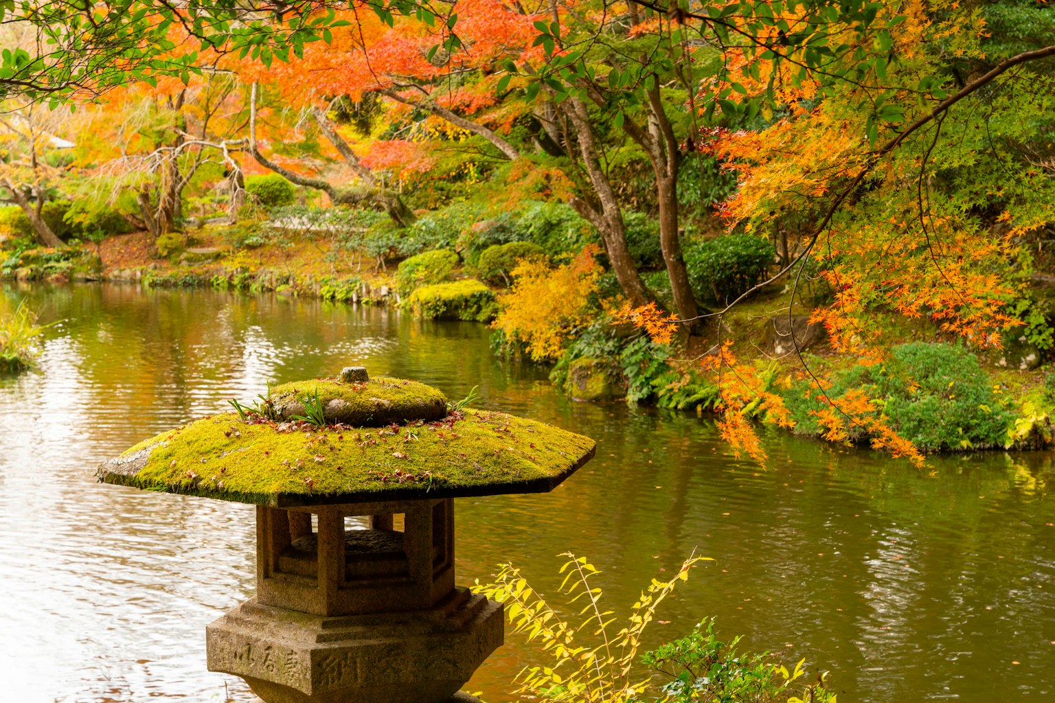 Scène sereine de jardin japonais avec une lanterne couverte de mousse près d'un étang entouré de feuillage d'automne