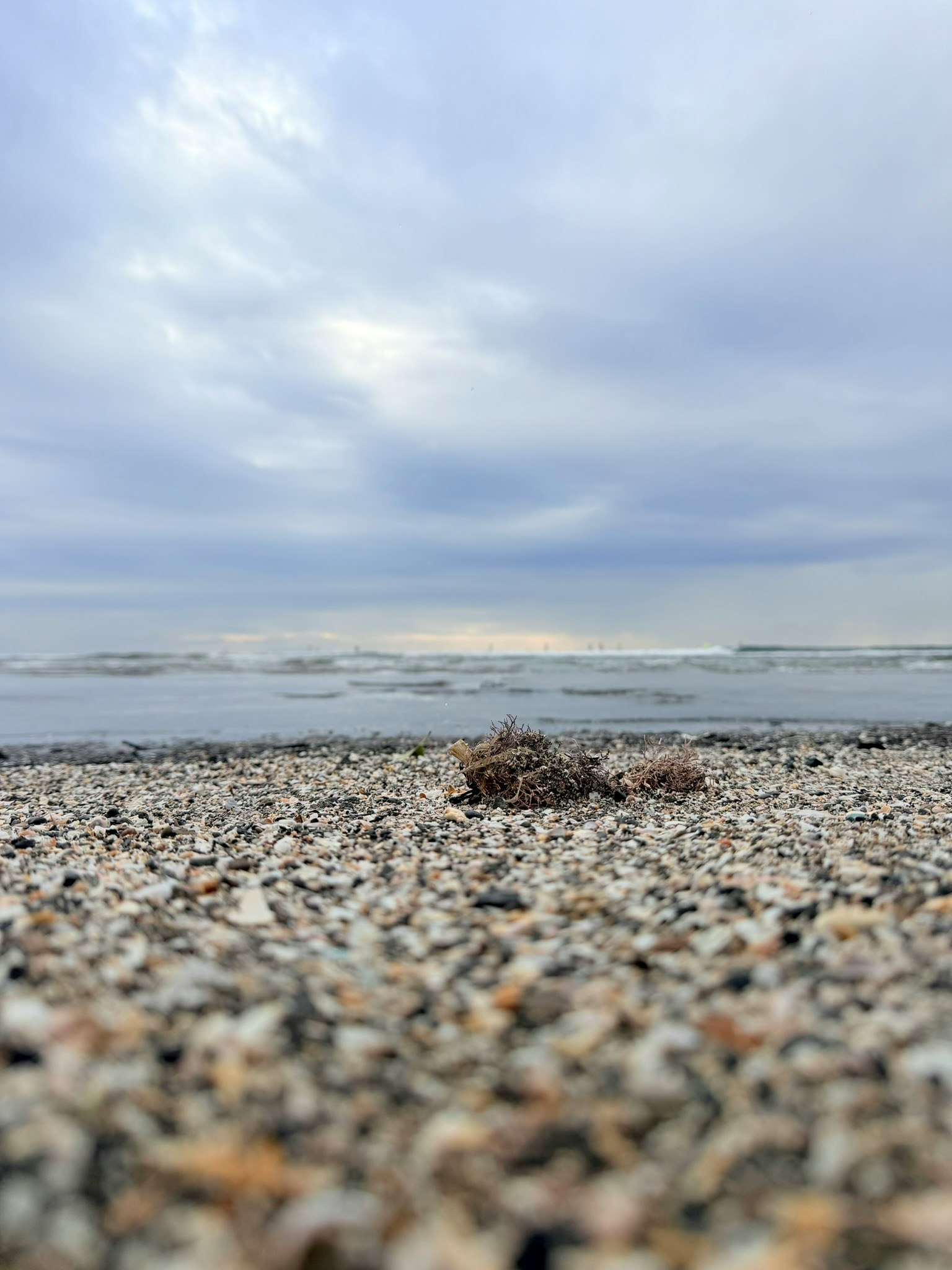 모래 해변에서 낮은 각도로 촬영된 이미지 흐린 하늘과 잔잔한 바다