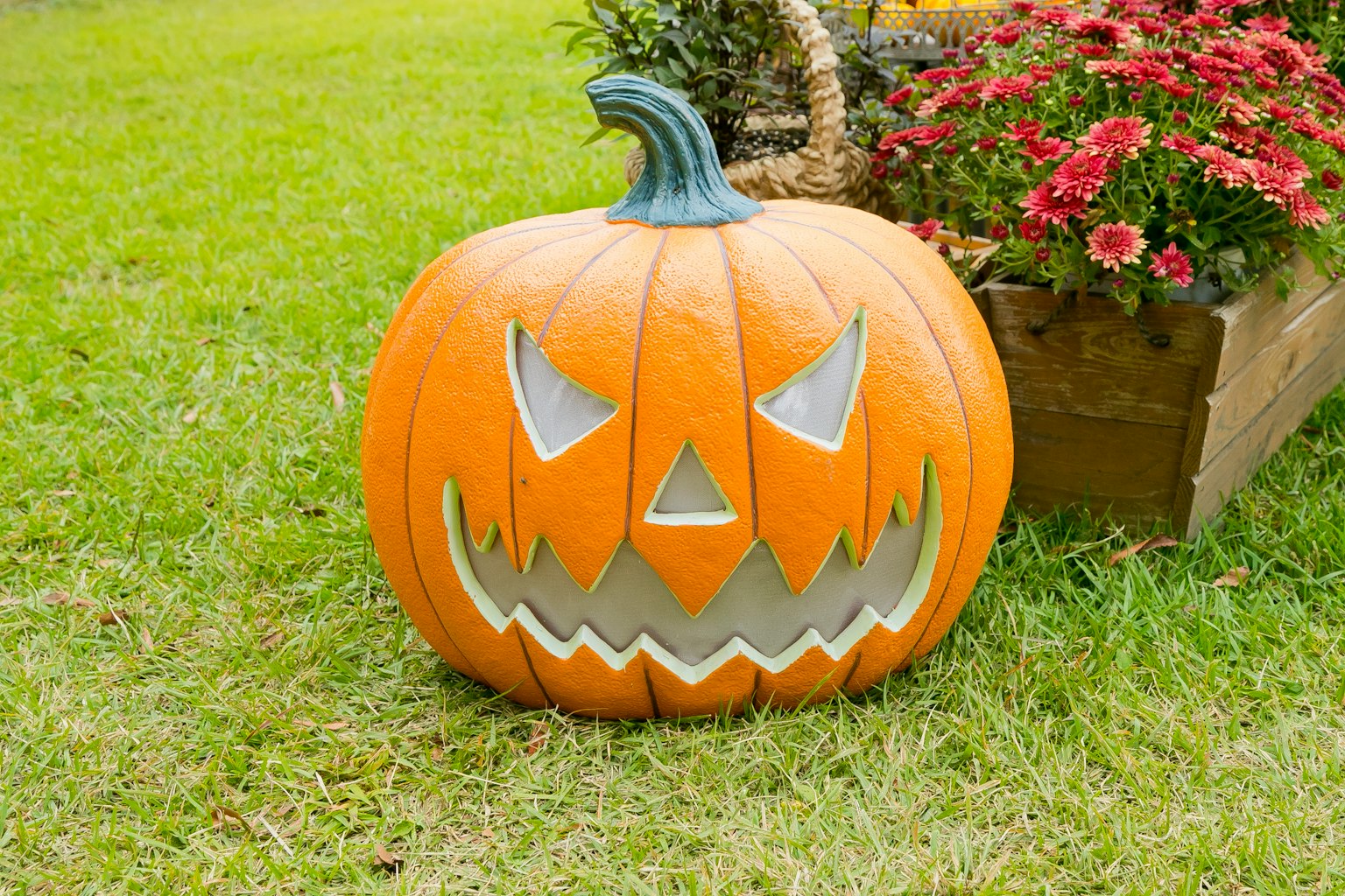 Labu Halloween di atas rumput dengan ekspresi menyeramkan