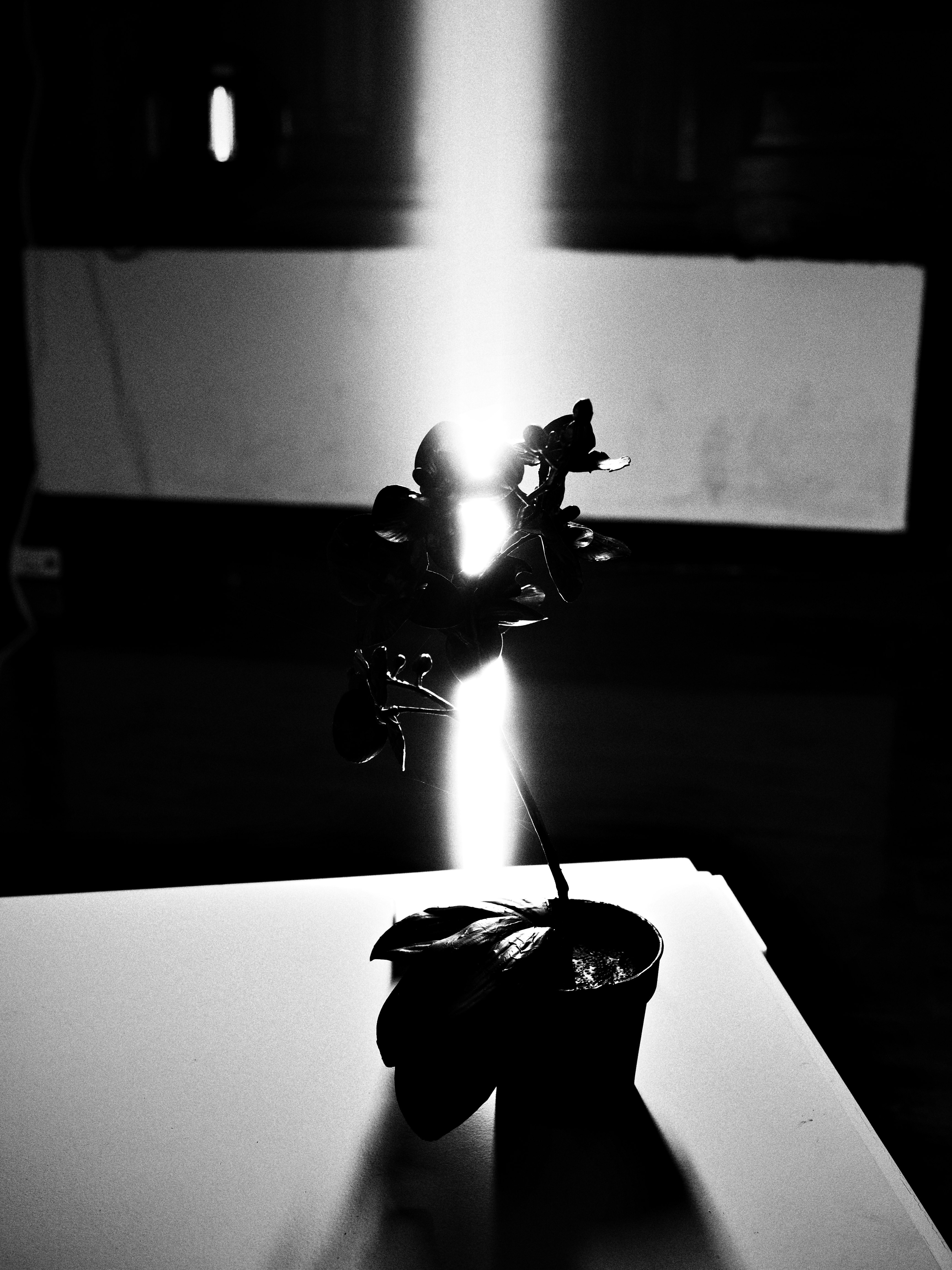 Silhouette of a vase with strong backlight by a window