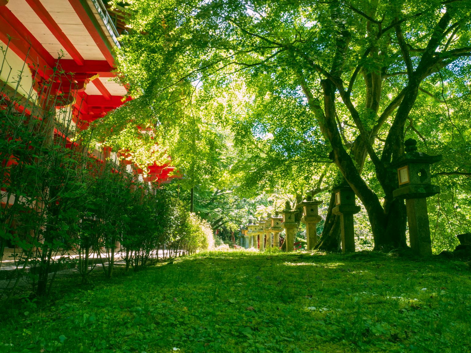 Üppiger Garten mit rotem Gebäude und Ste lanternen
