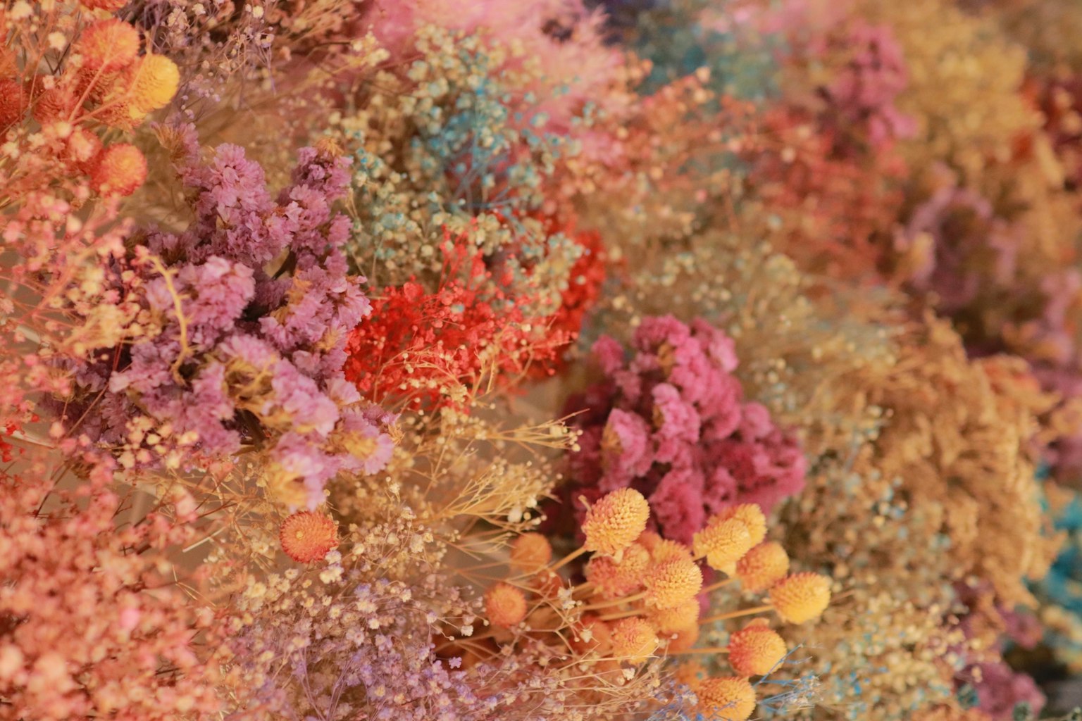 Una vibrante gamma di fiori secchi e piante che creano una ricca texture